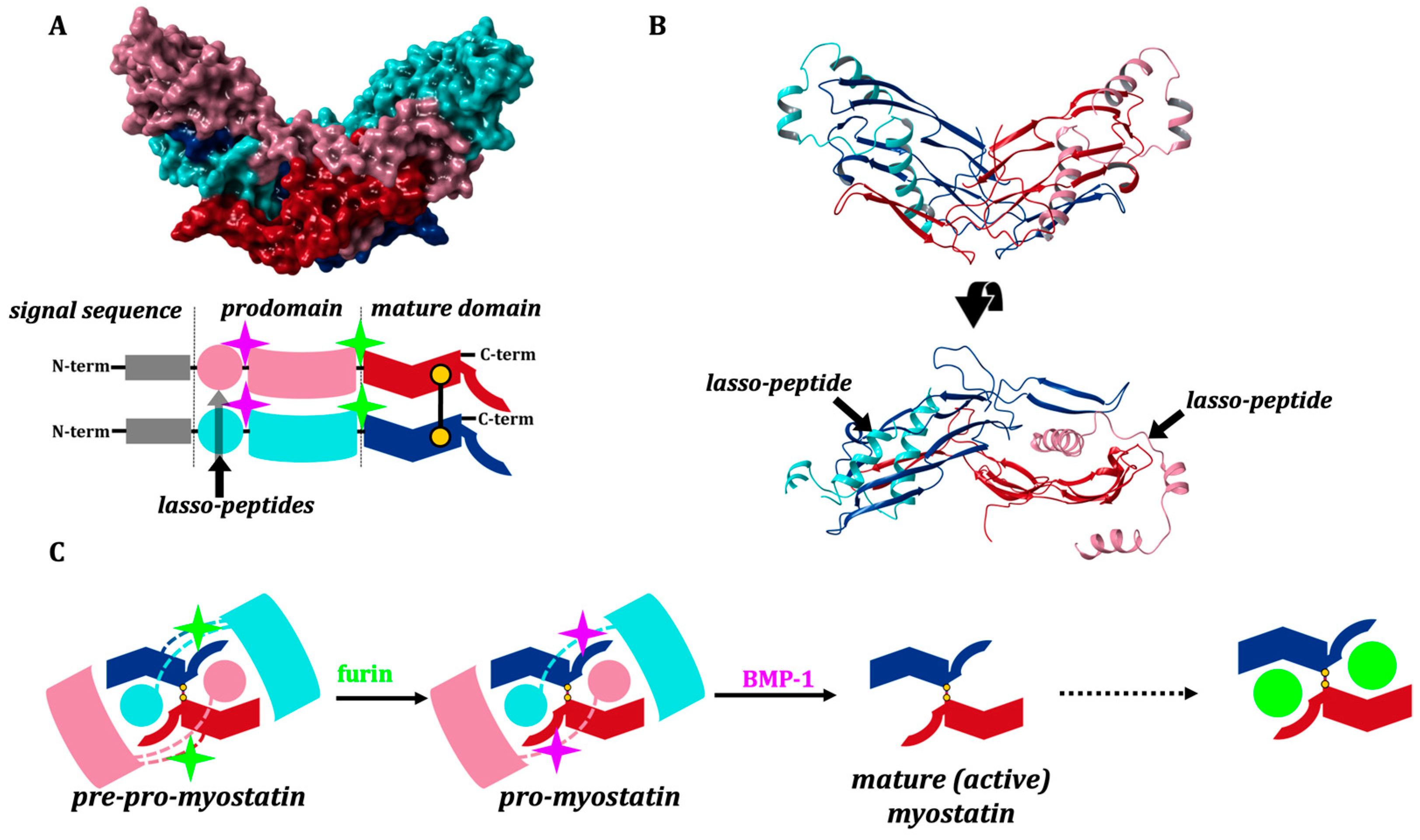 Molecules 28 05655 g001 Molecules 28 05655 g001