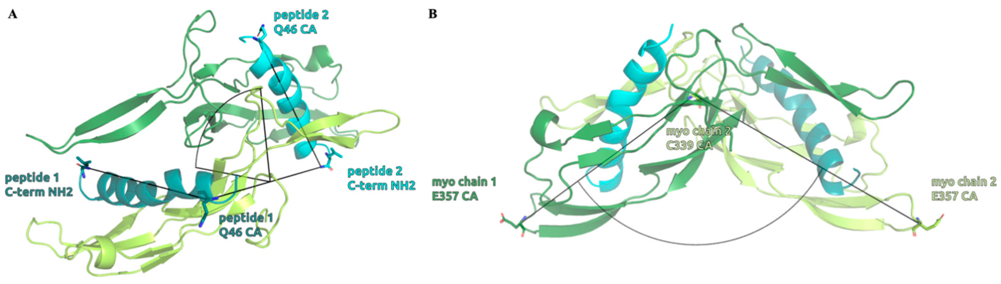 Molecules 28 05655 g008 Molecules 28 05655 g008