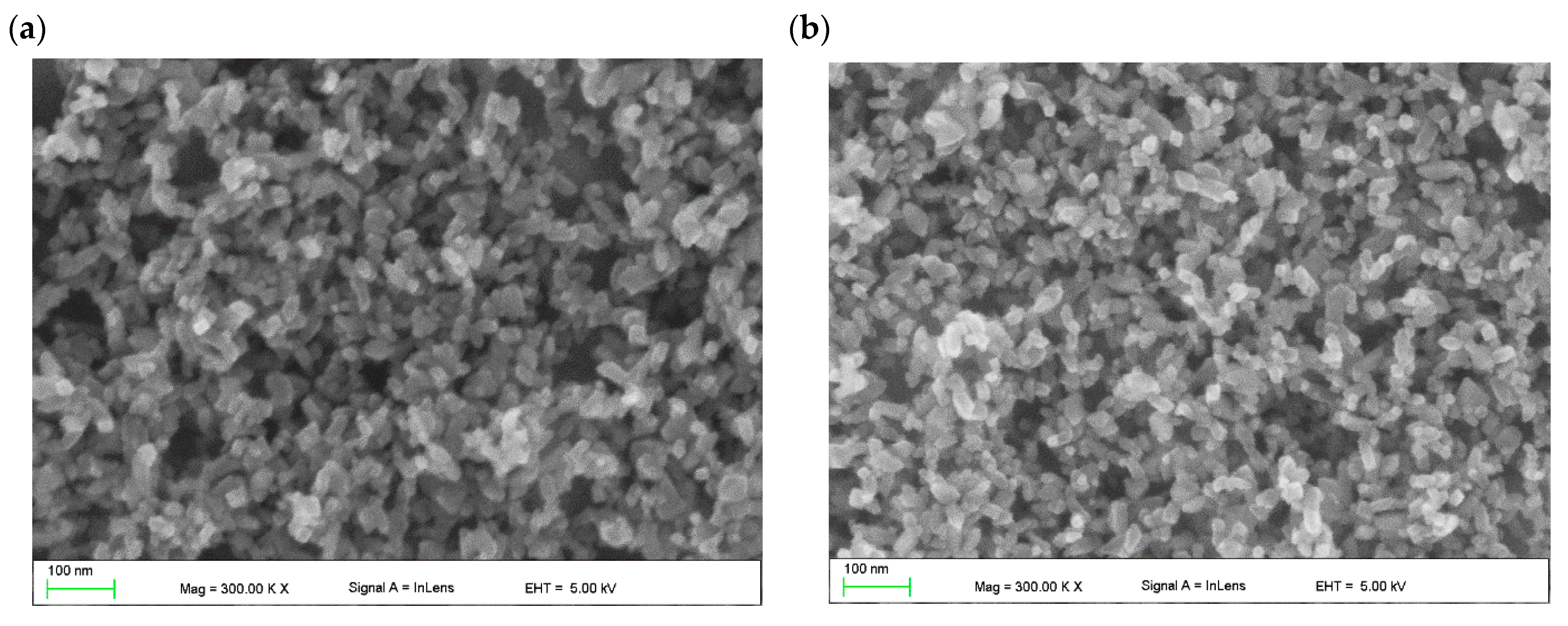 Molecules 28 05656 g002