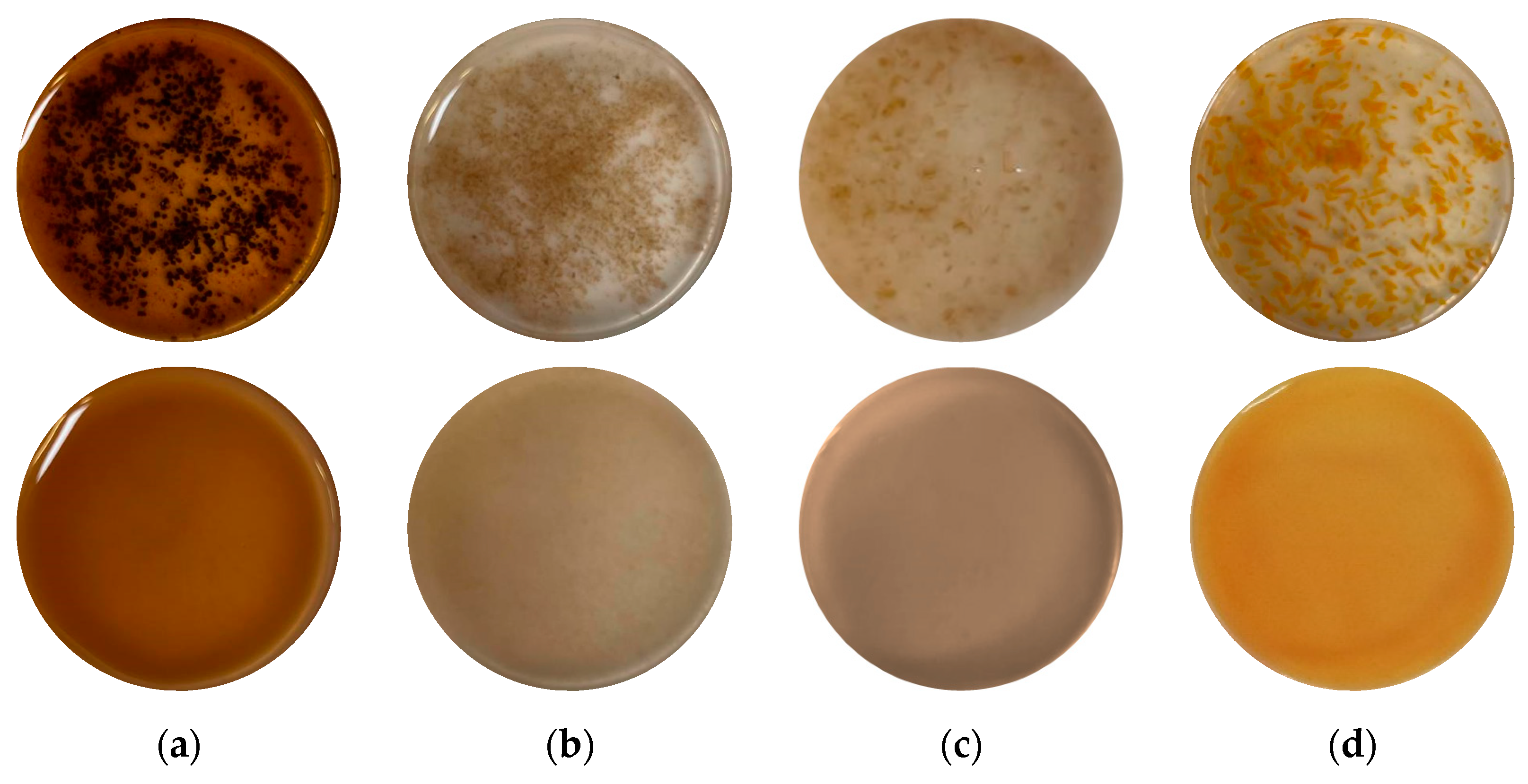 Molecules 28 05657 g006 Molecules 28 05657 g006