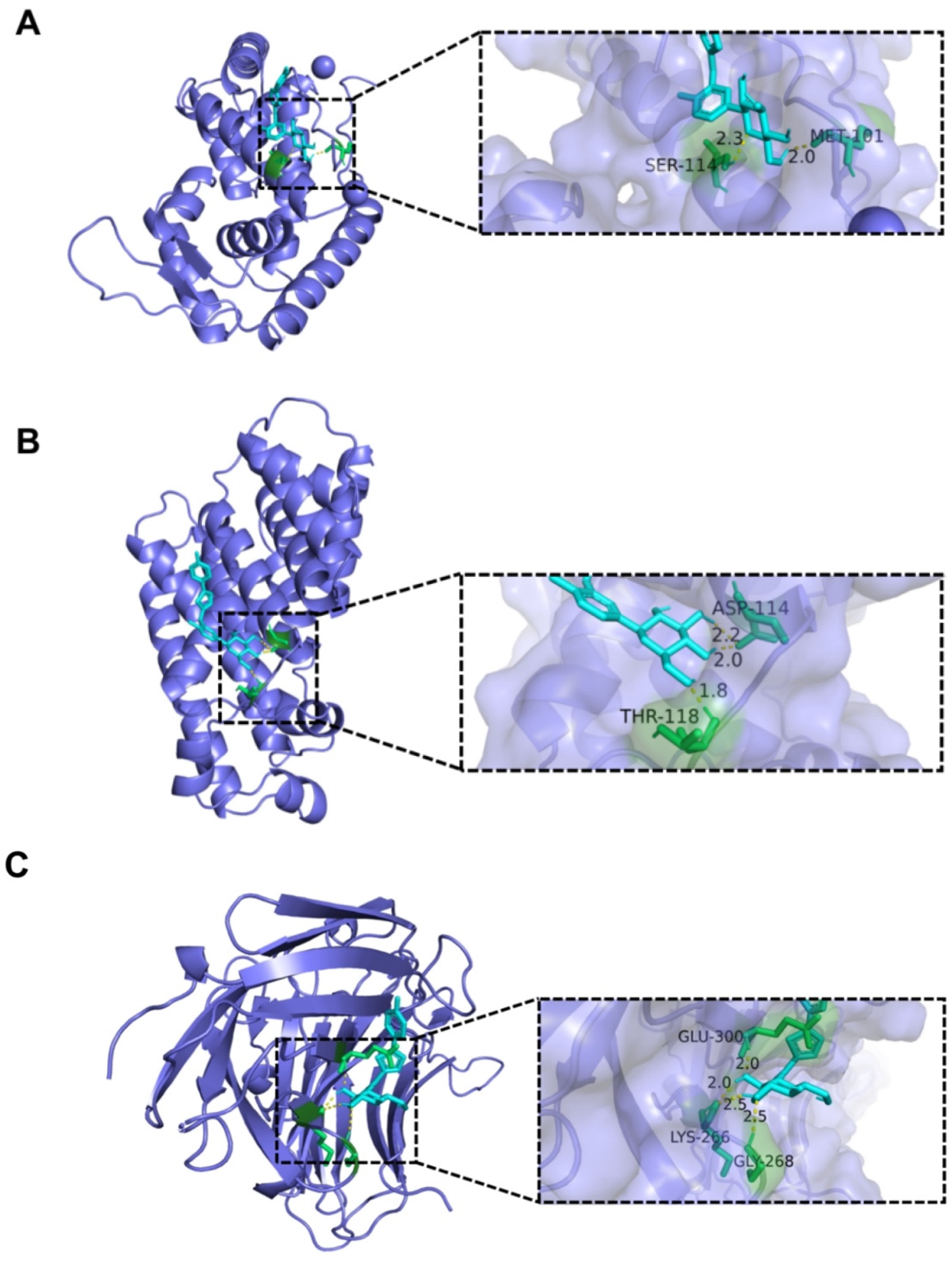 Molecules 28 05668 g006