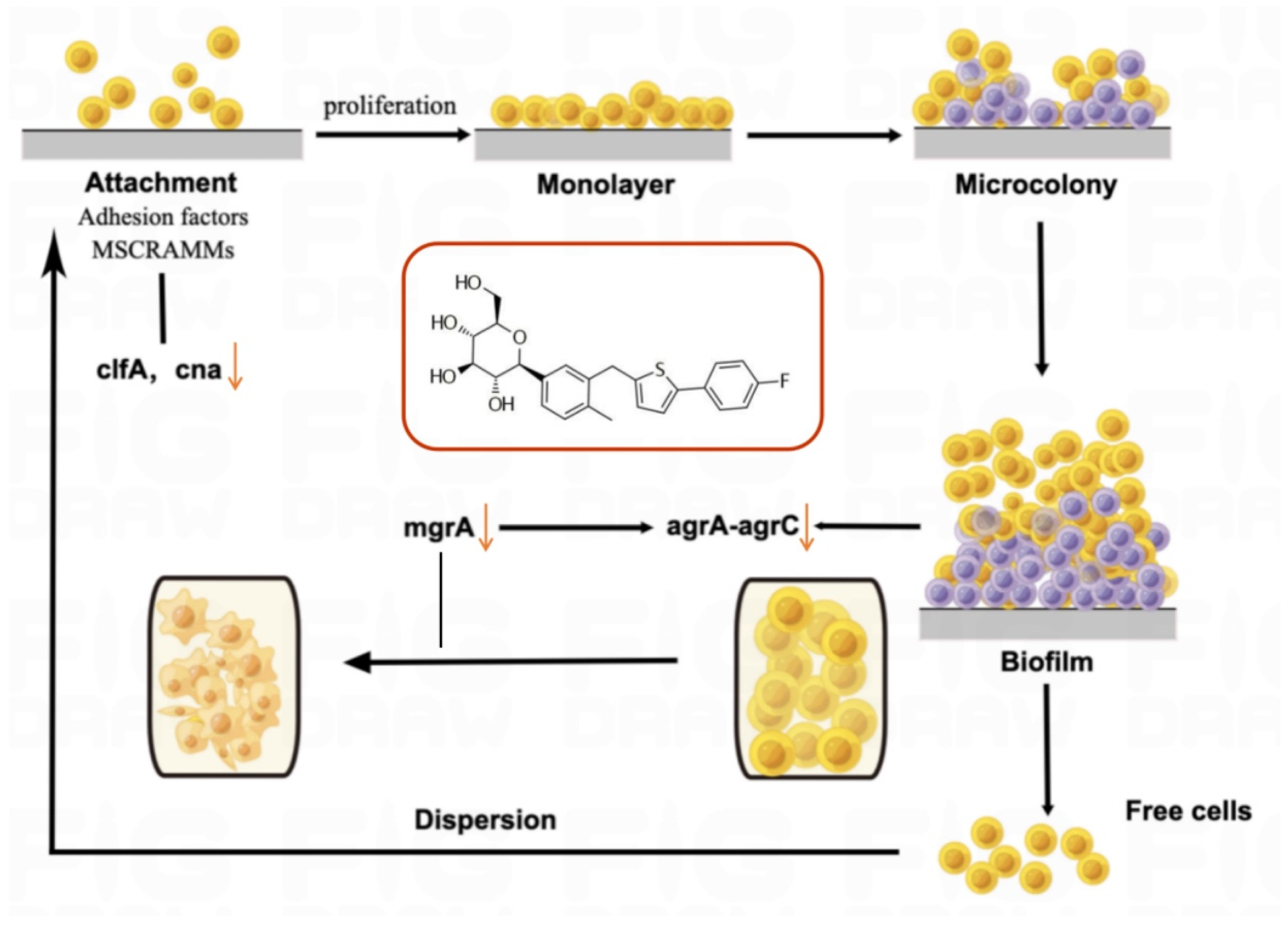 Molecules 28 05668 g007