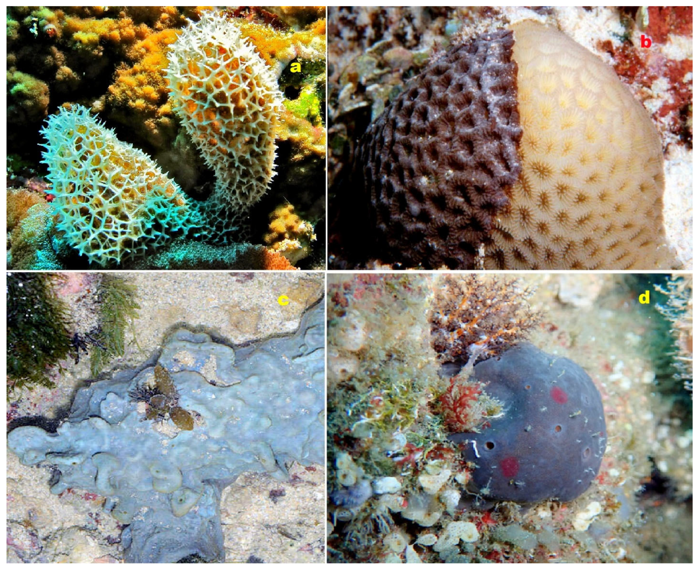 Molecules 28 05669 g023 Molecules 28 05669 g023