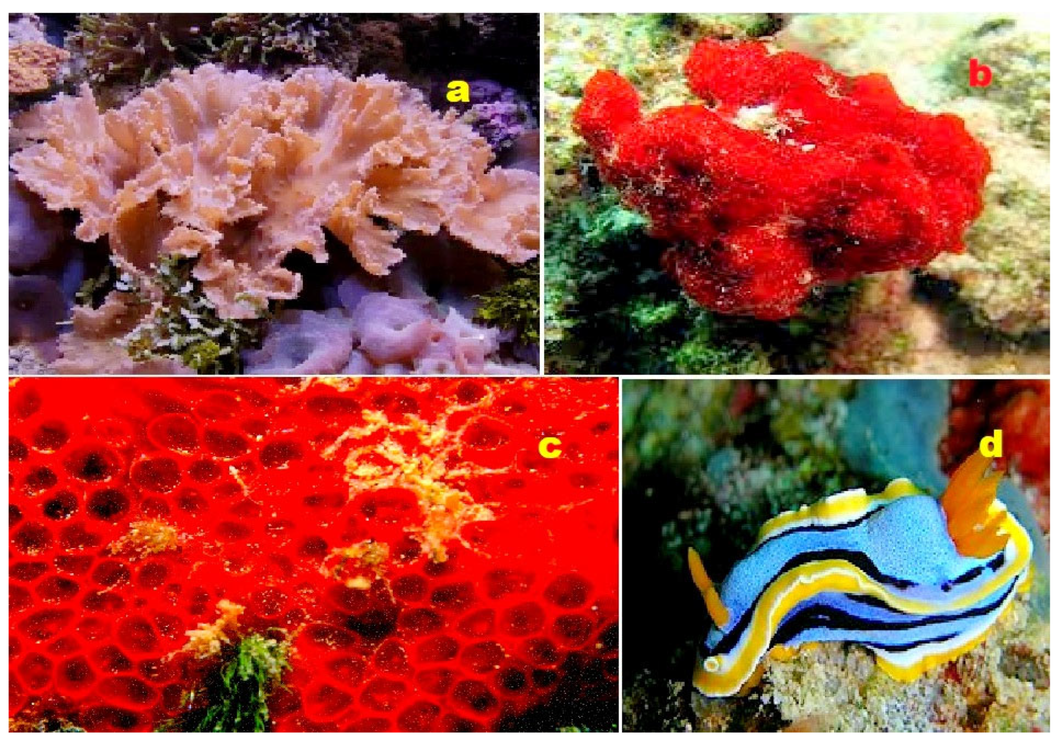 Molecules 28 05669 g029 Molecules 28 05669 g029