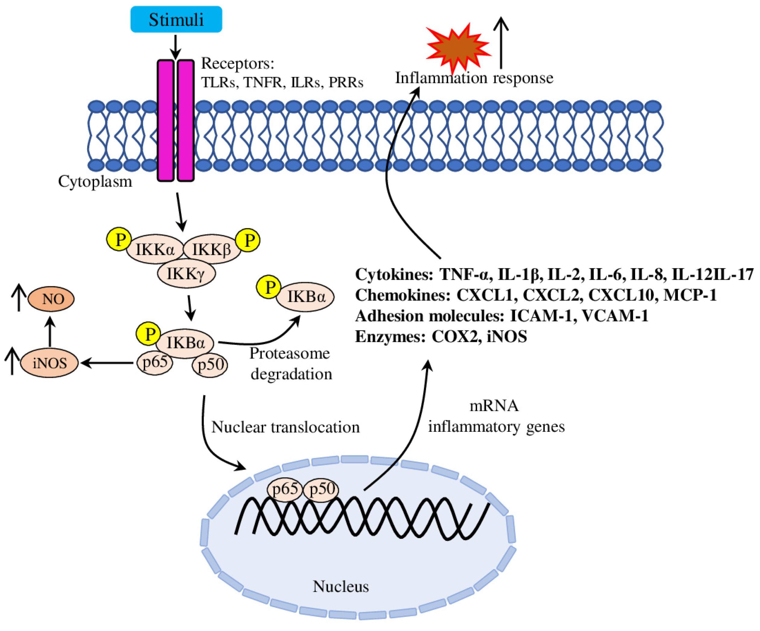Molecules 28 05673 g002 Molecules 28 05673 g002