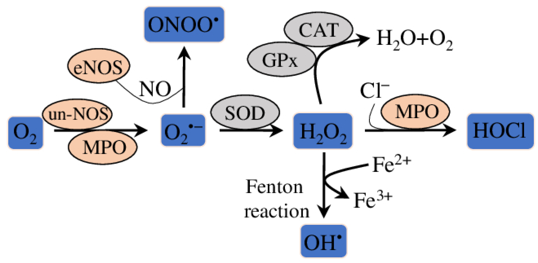 Molecules 28 05673 g004 Molecules 28 05673 g004