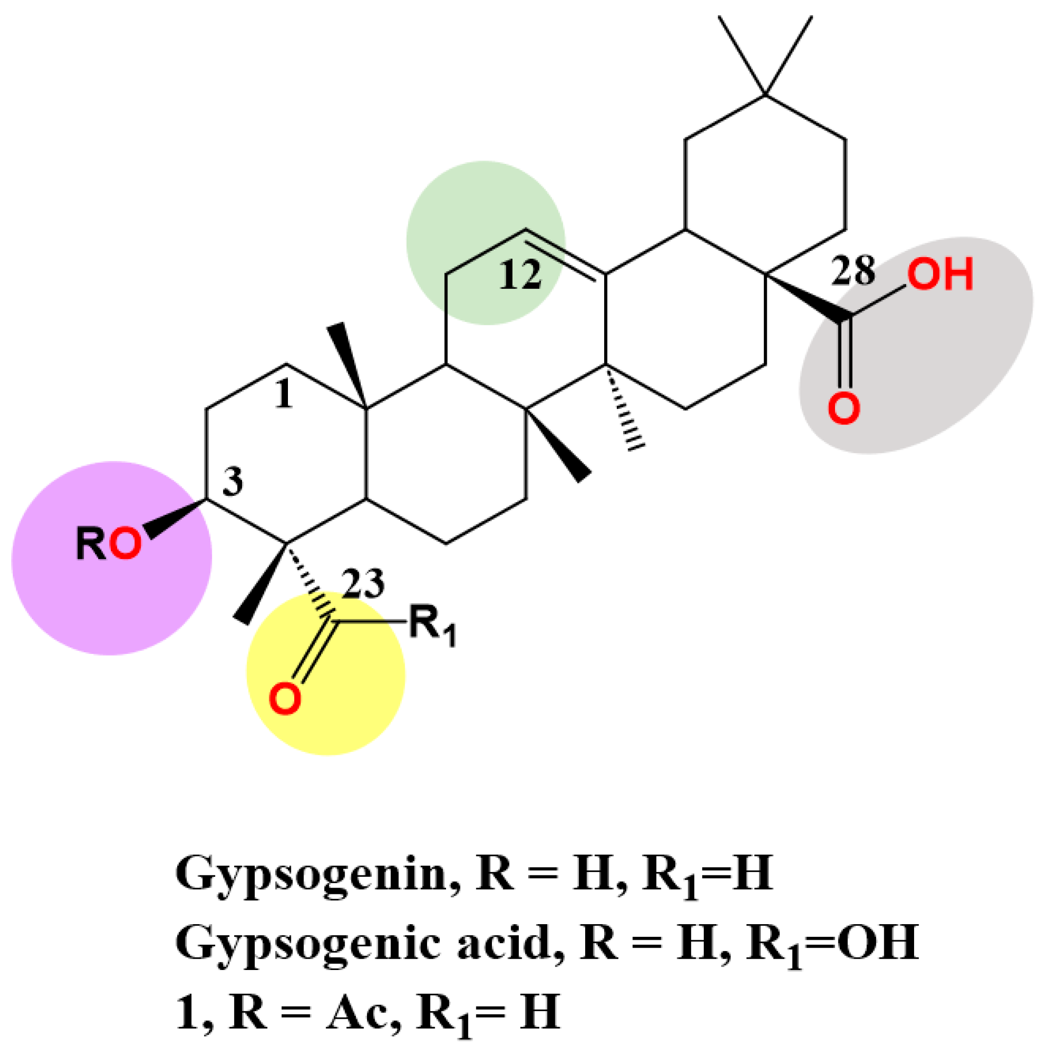 Molecules 28 05677 g002