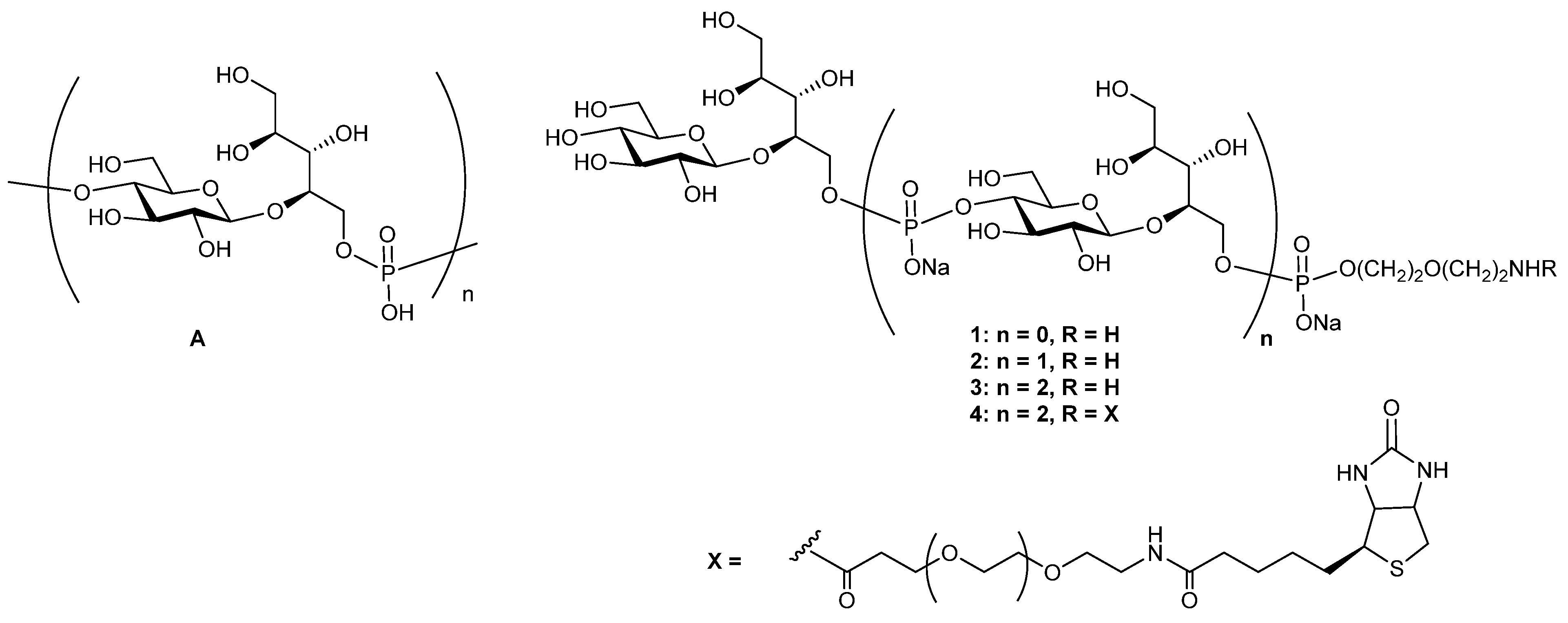 Molecules 28 05688 g001 Molecules 28 05688 g001
