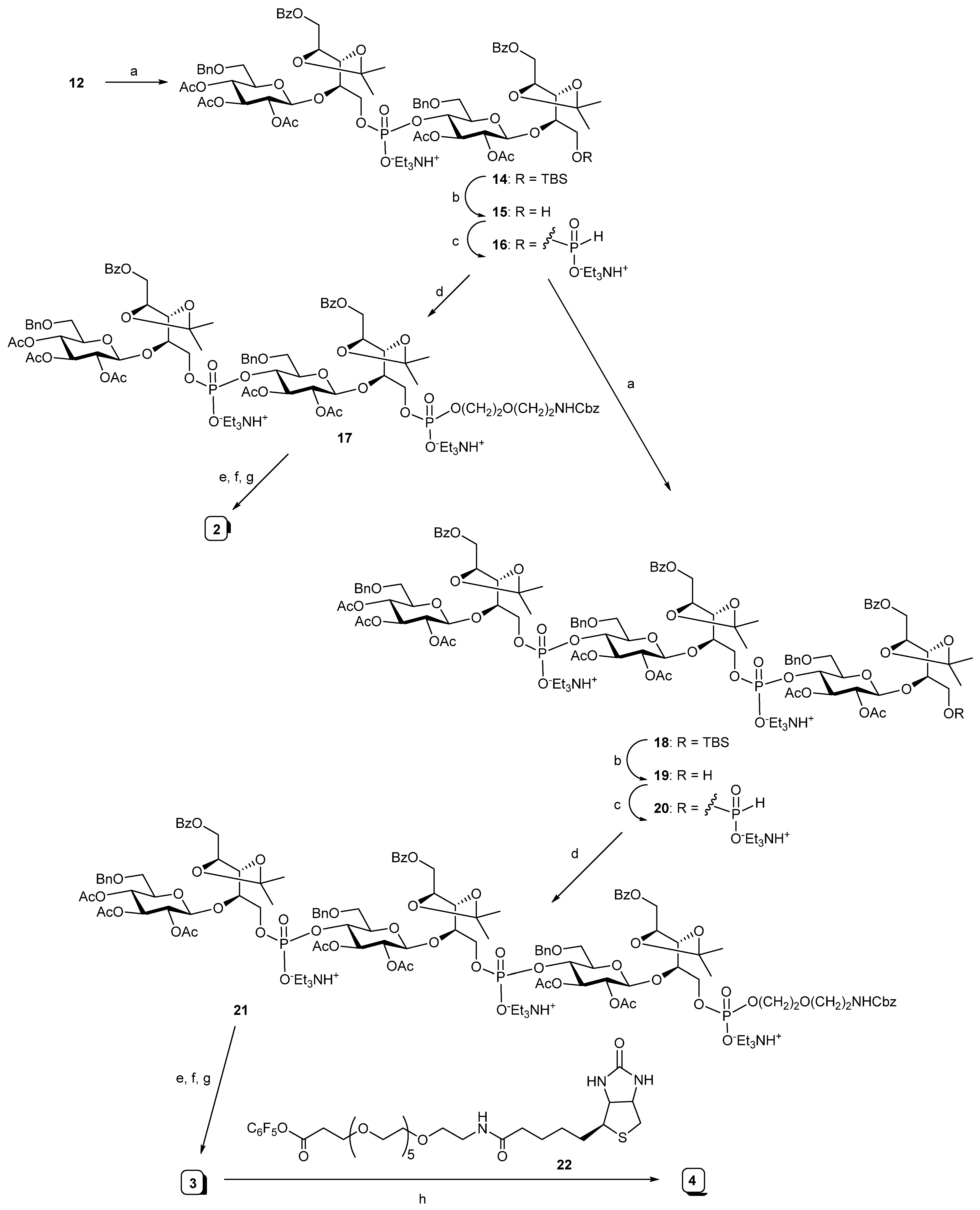 Molecules 28 05688 sch002 Molecules 28 05688 sch002