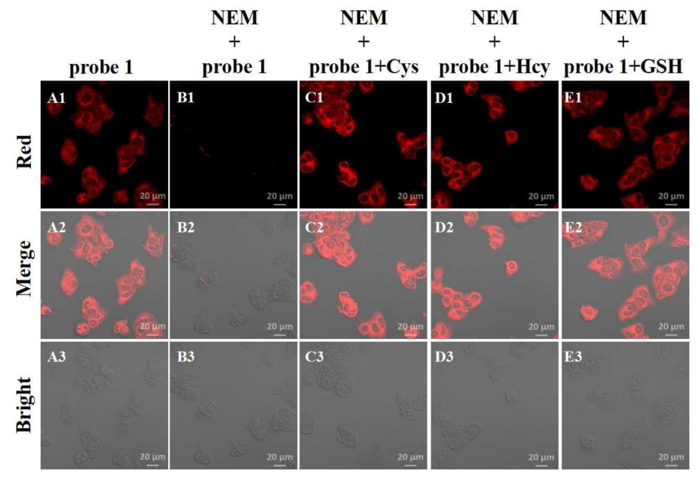 Molecules 28 05702 g003 Molecules 28 05702 g003