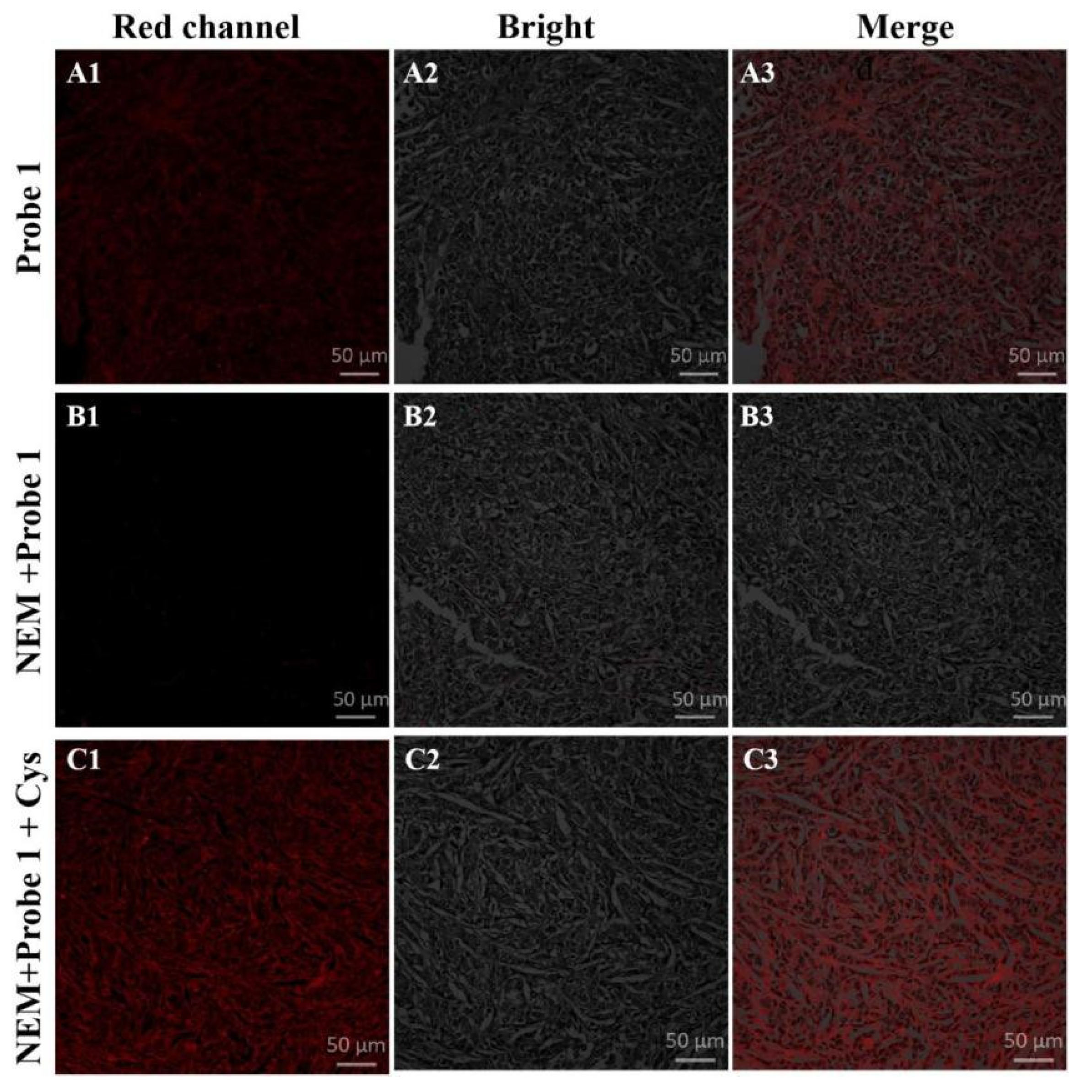Molecules 28 05702 g005 Molecules 28 05702 g005