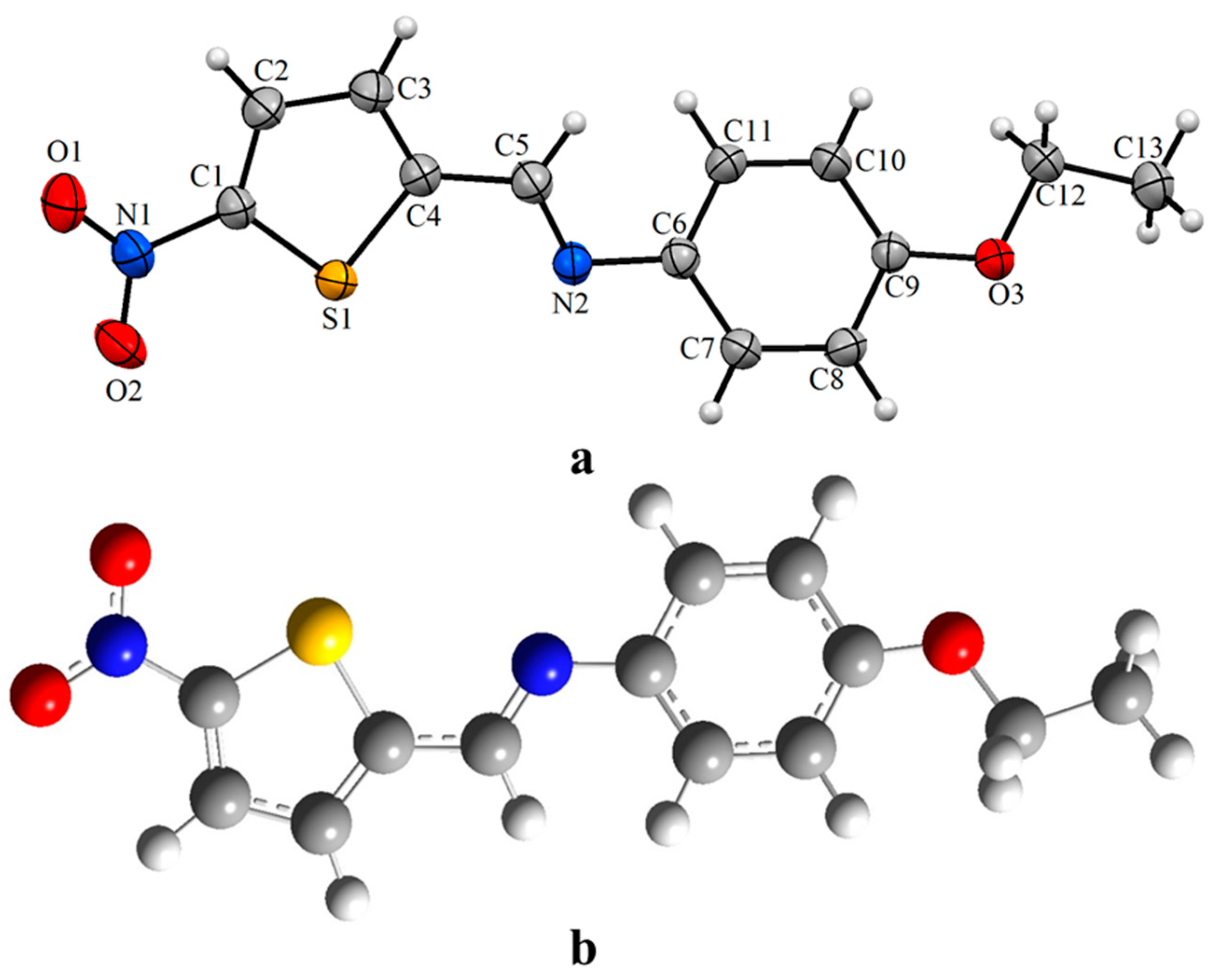 Molecules 28 05703 g001