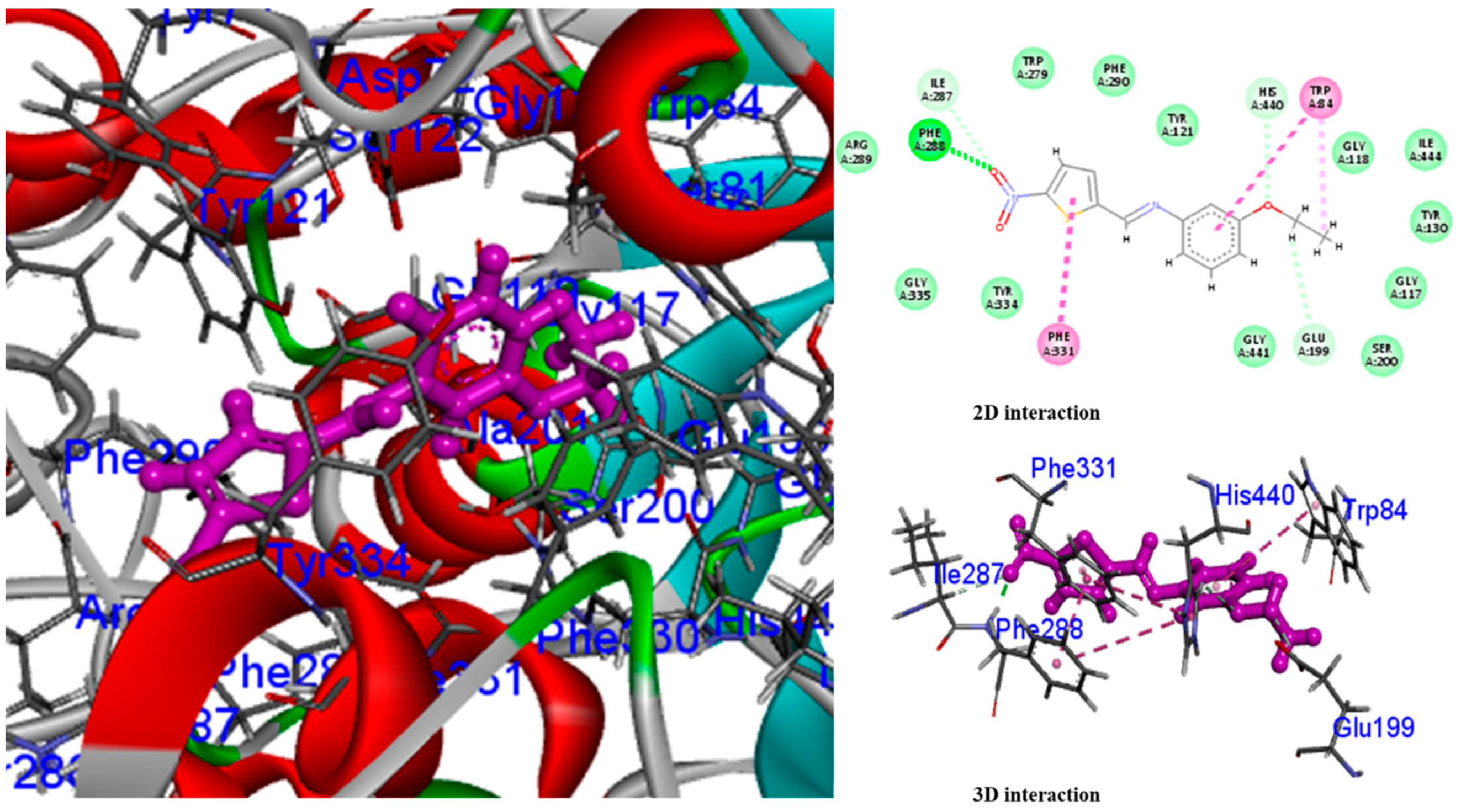 Molecules 28 05703 g006