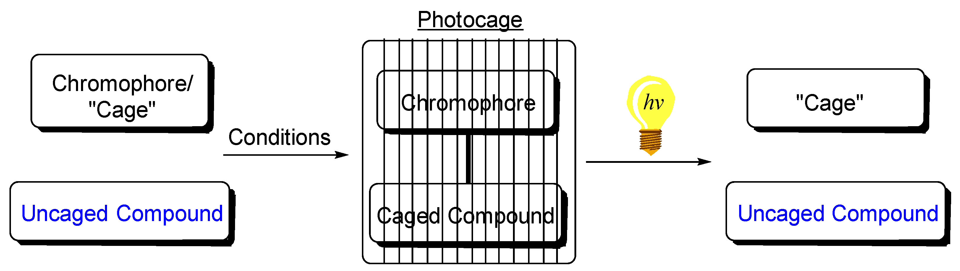 Molecules 28 05704 g001 Molecules 28 05704 g001