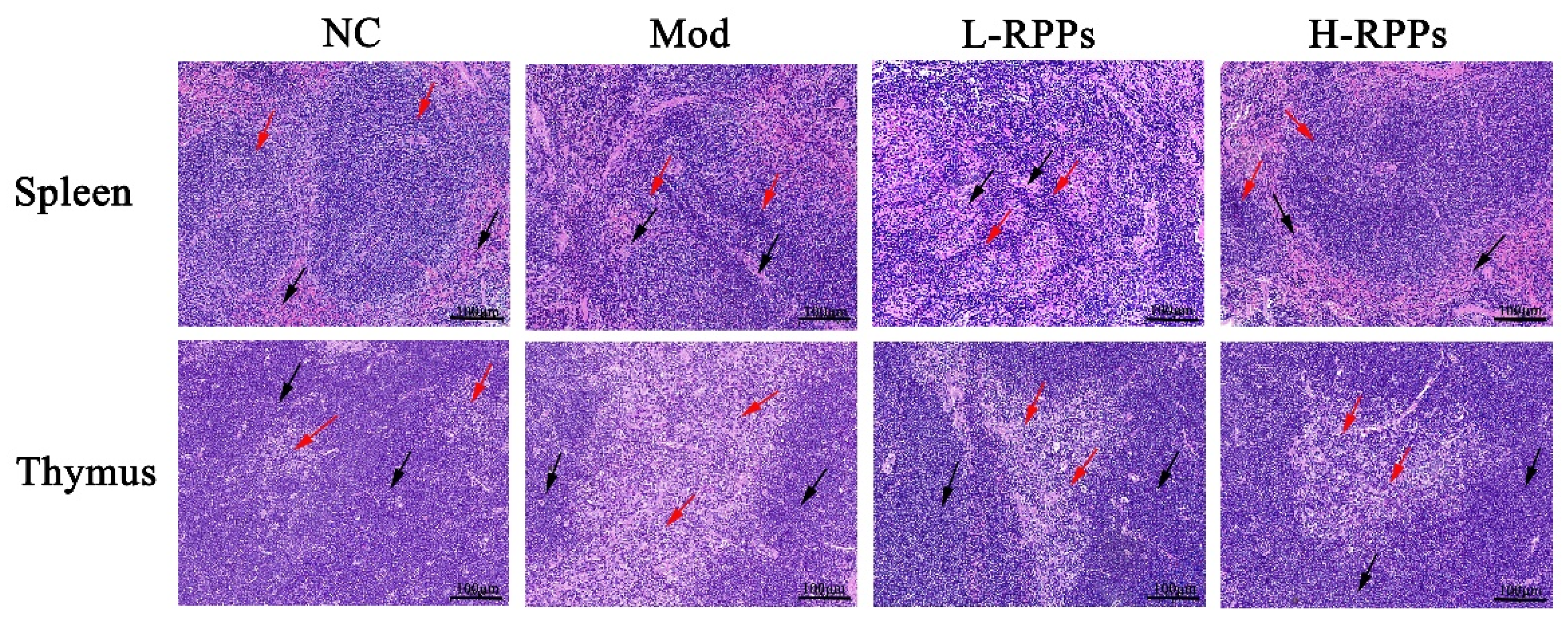 Molecules 28 05709 g004 Molecules 28 05709 g004