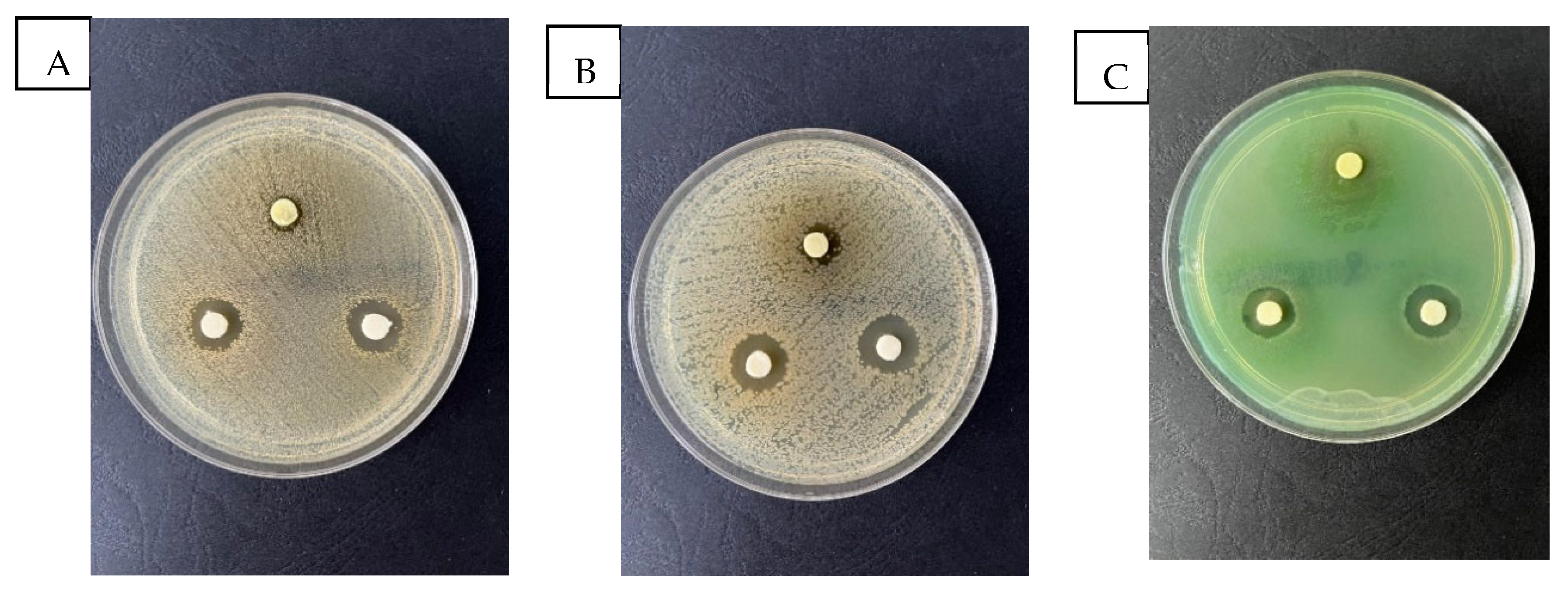 Molecules 28 05711 g003 Molecules 28 05711 g003