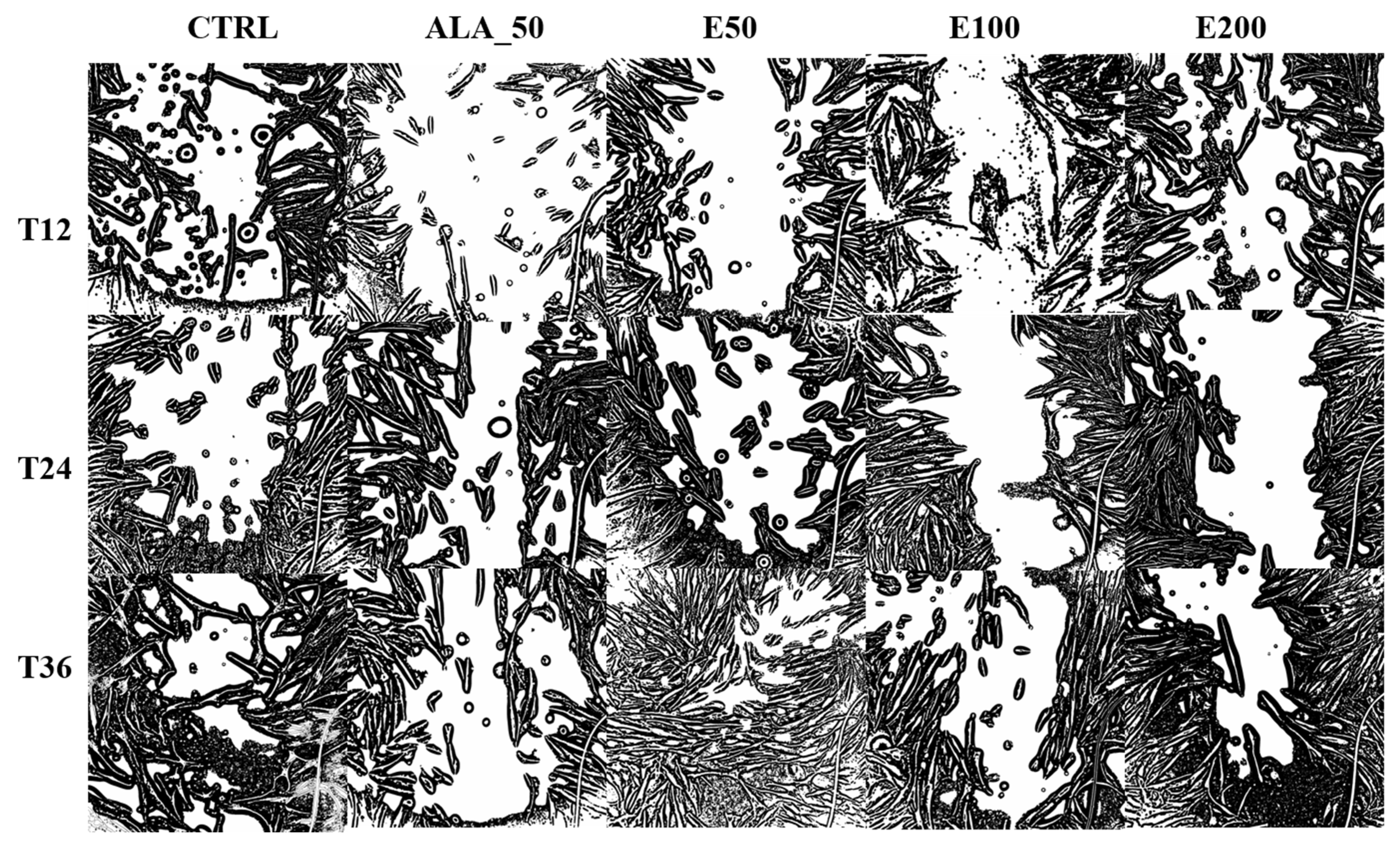 Molecules 28 05711 g006 Molecules 28 05711 g006