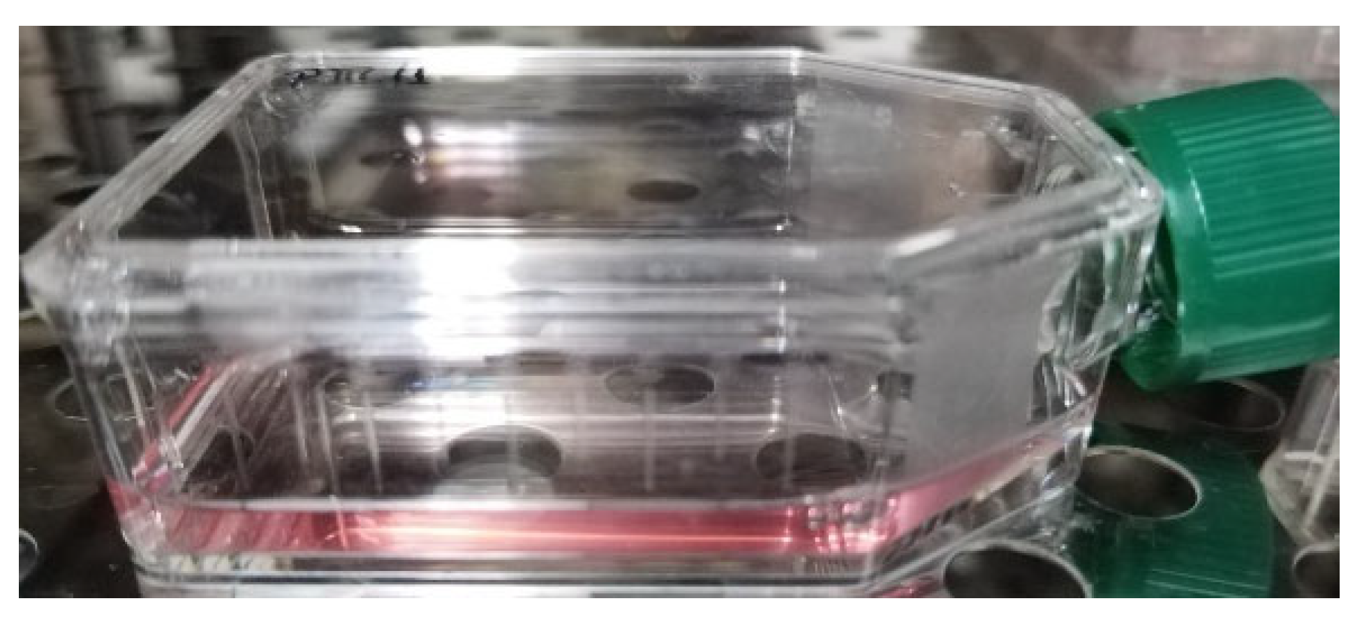 Molecules 28 05711 g009 Molecules 28 05711 g009