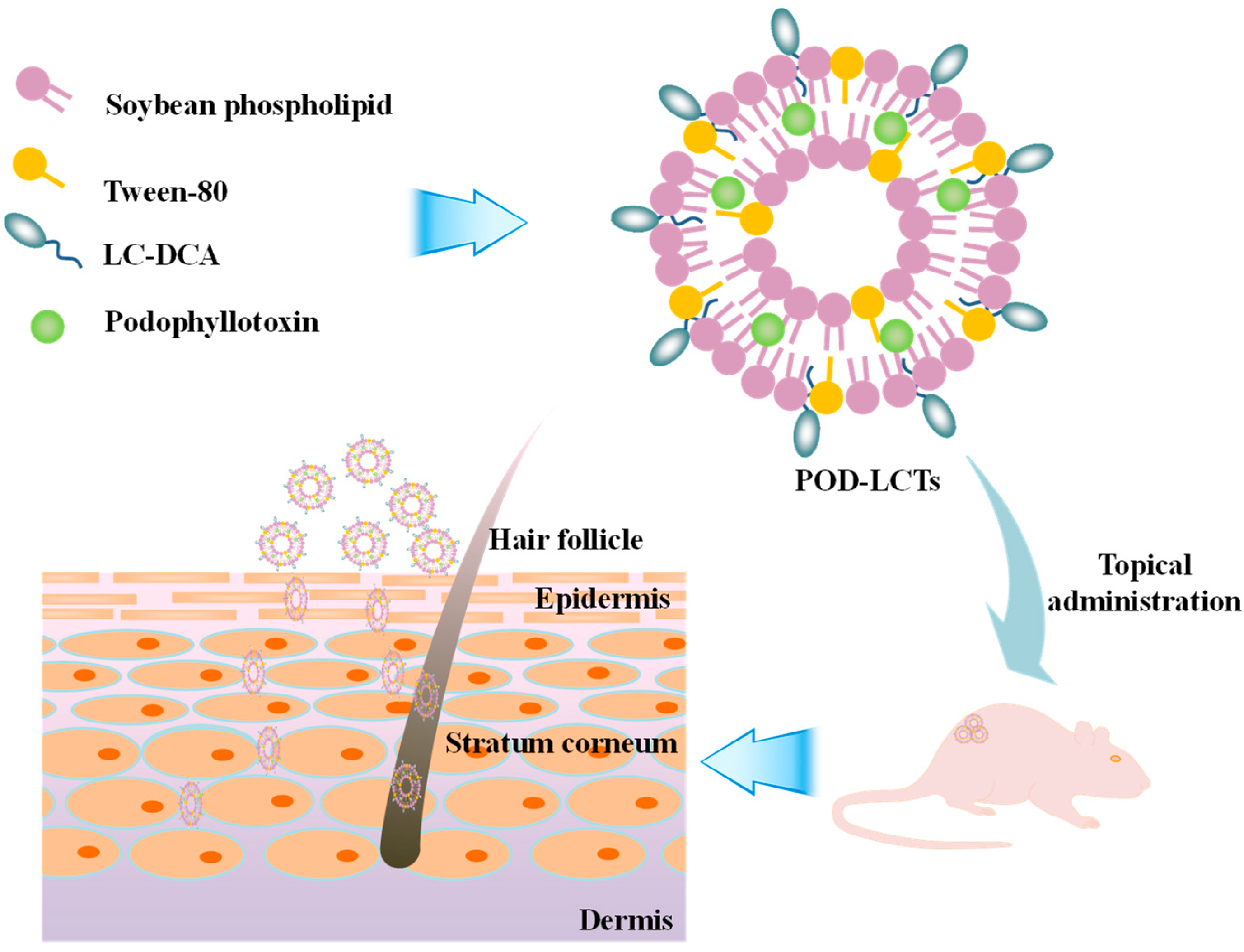Molecules 28 05712 g001 Molecules 28 05712 g001