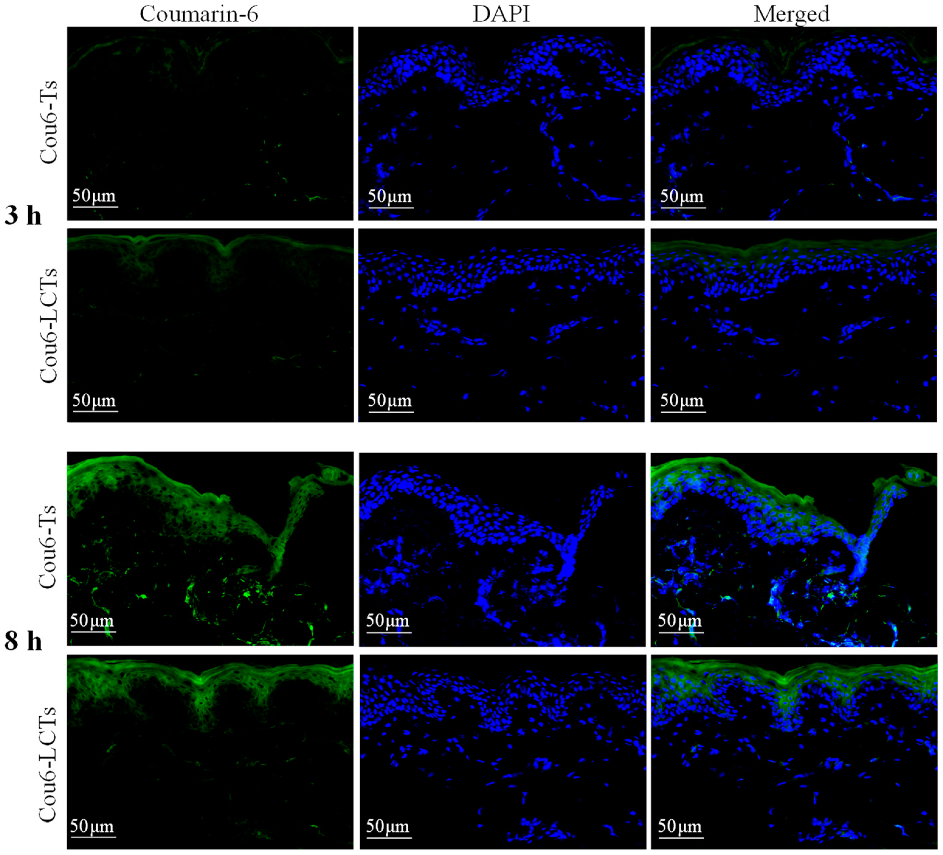 Molecules 28 05712 g007 Molecules 28 05712 g007