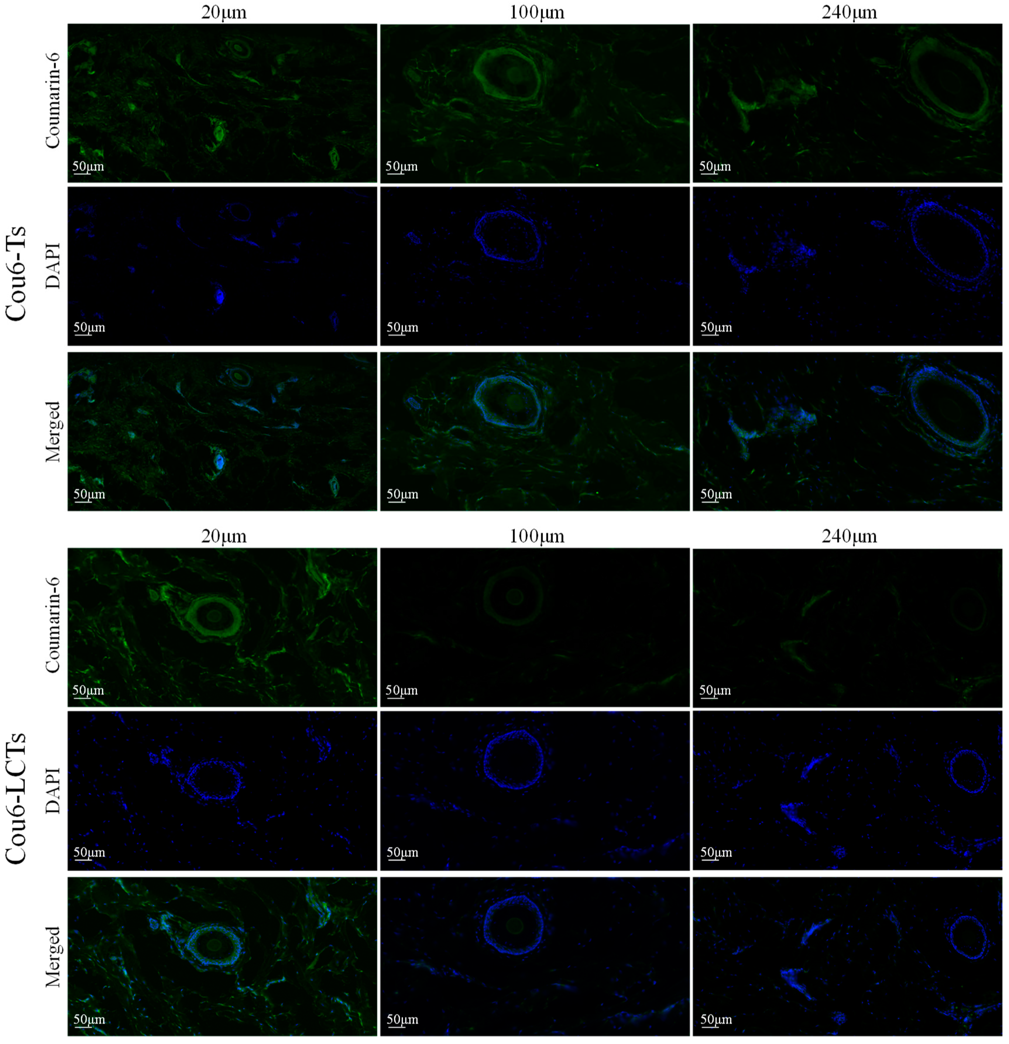 Molecules 28 05712 g008 Molecules 28 05712 g008