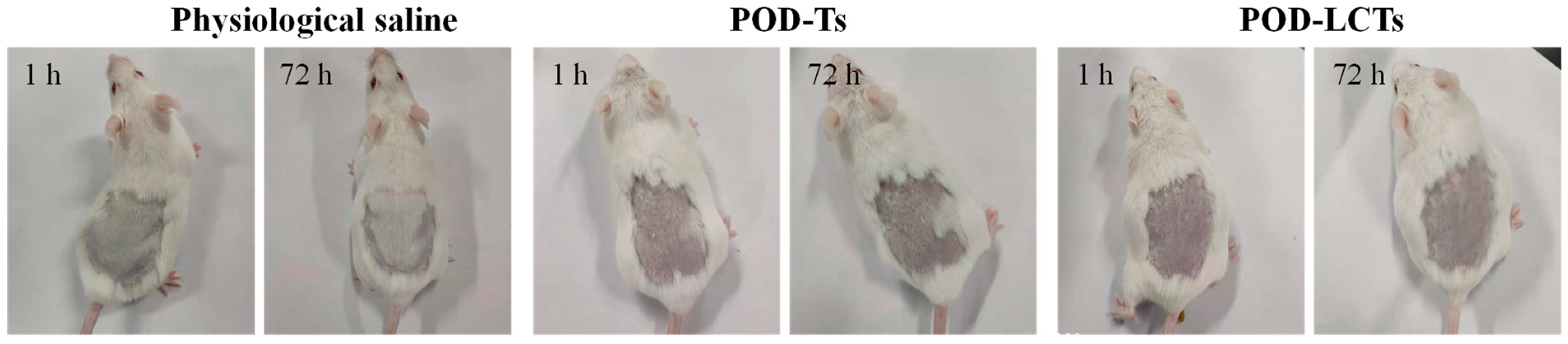 Molecules 28 05712 g010 Molecules 28 05712 g010