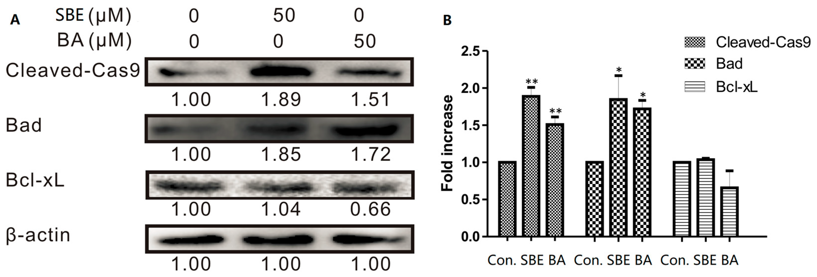 Molecules 28 05715 g003 Molecules 28 05715 g003