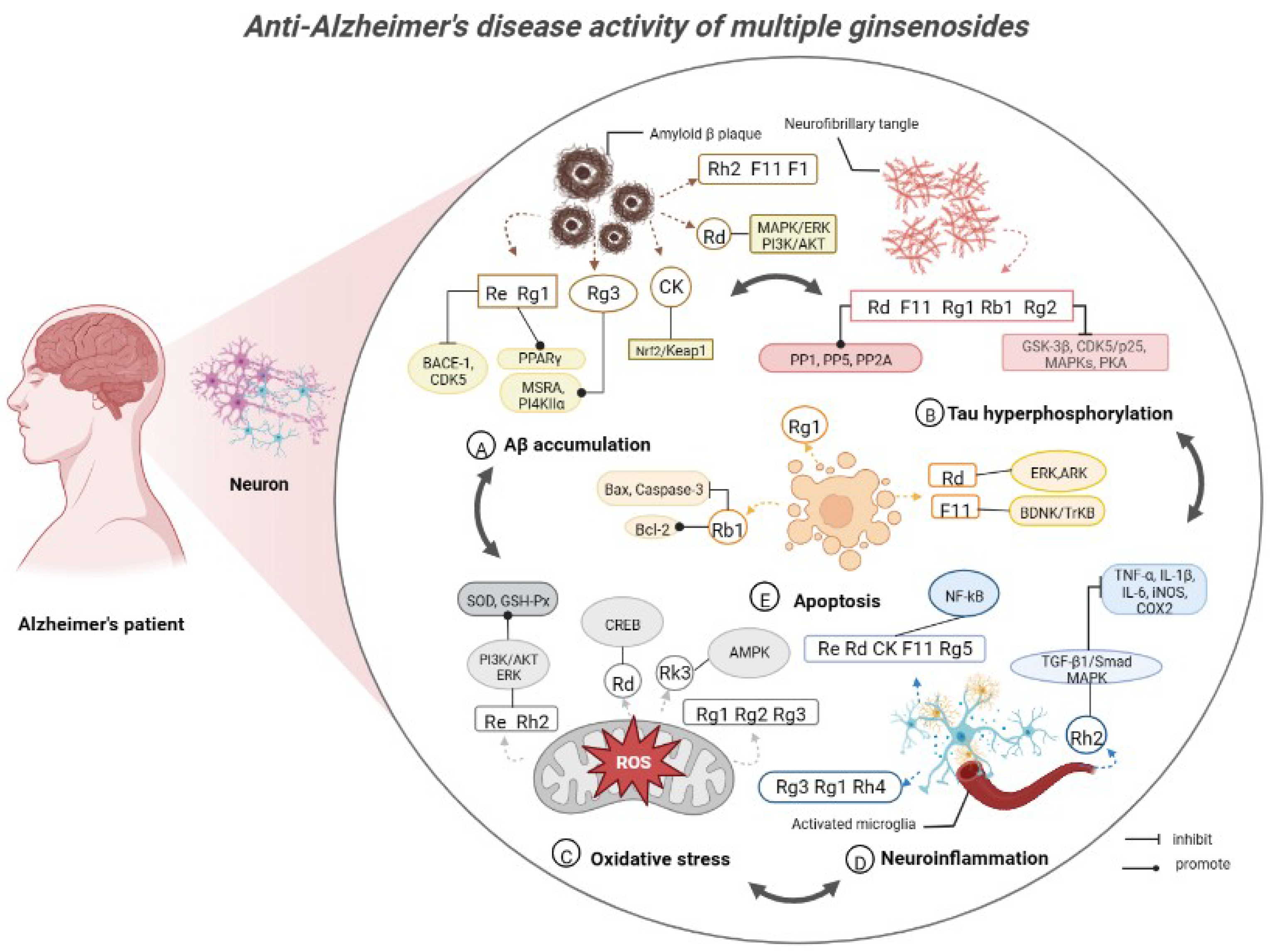 Molecules 28 05716 g003 Molecules 28 05716 g003