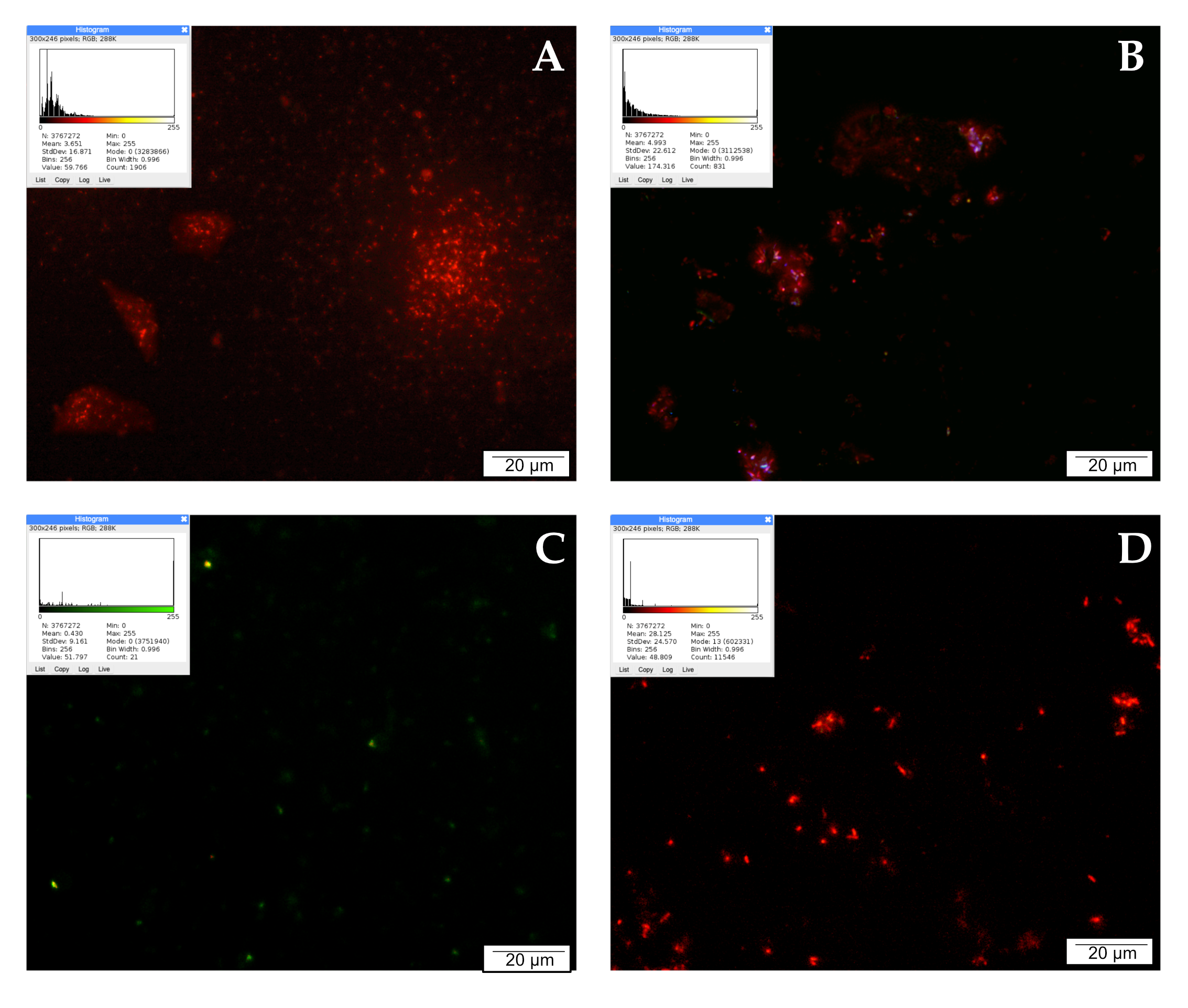 Molecules 28 05719 g002 Molecules 28 05719 g002