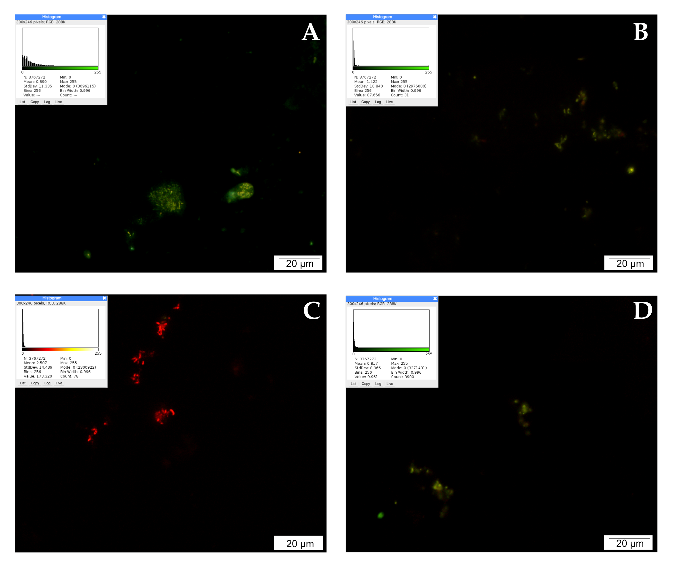 Molecules 28 05719 g003 Molecules 28 05719 g003