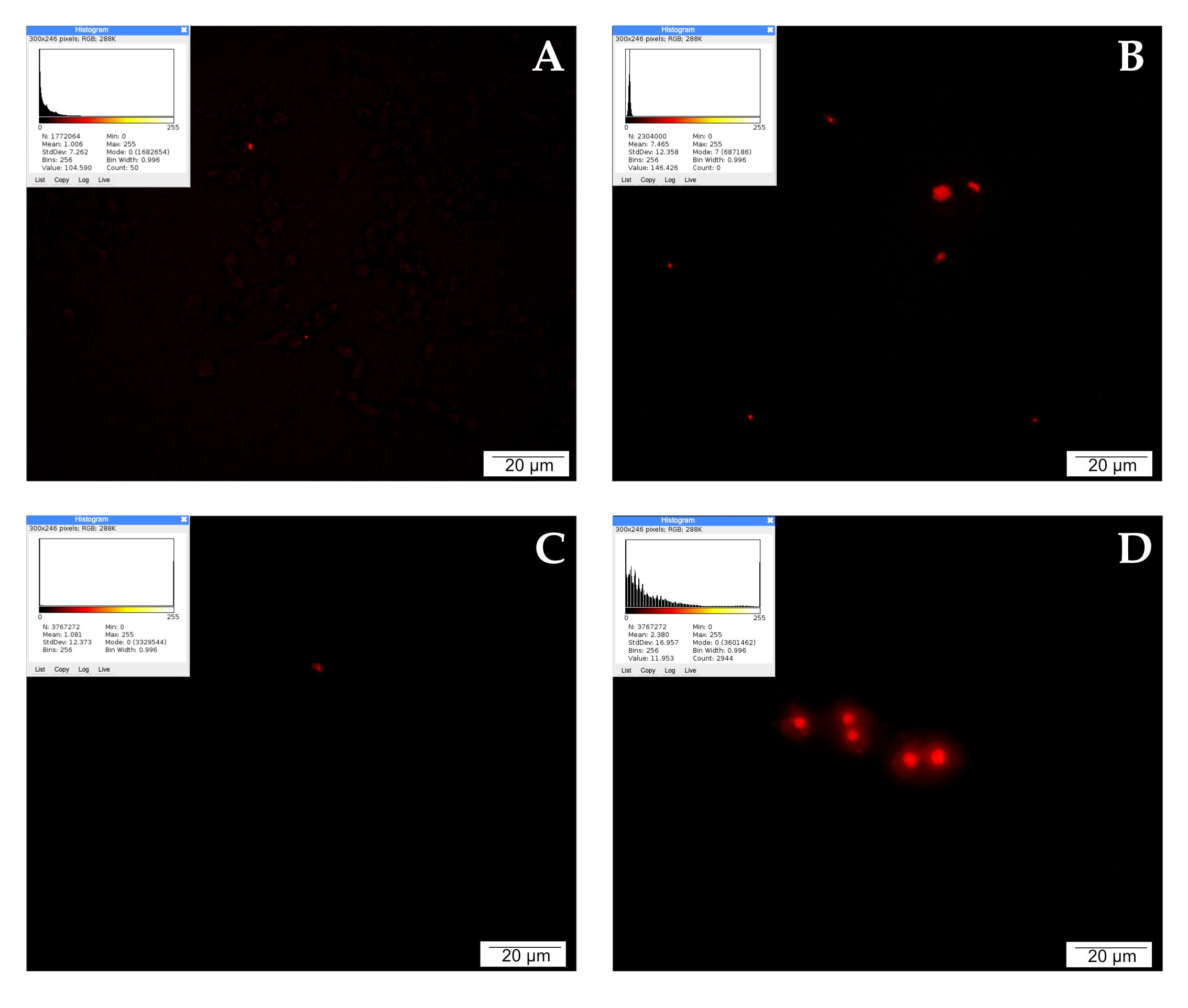 Molecules 28 05719 g004 Molecules 28 05719 g004