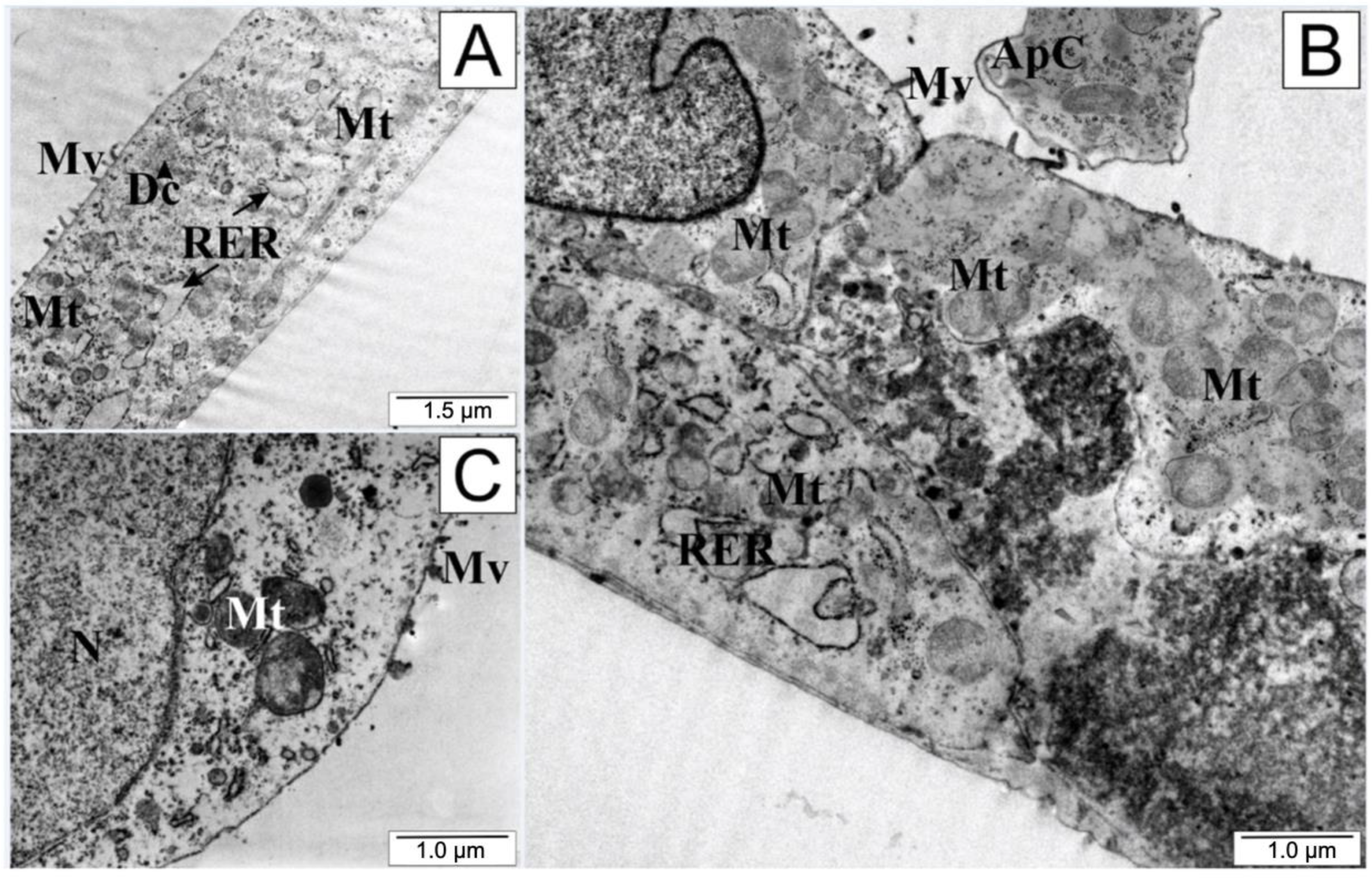 Molecules 28 05719 g008 Molecules 28 05719 g008