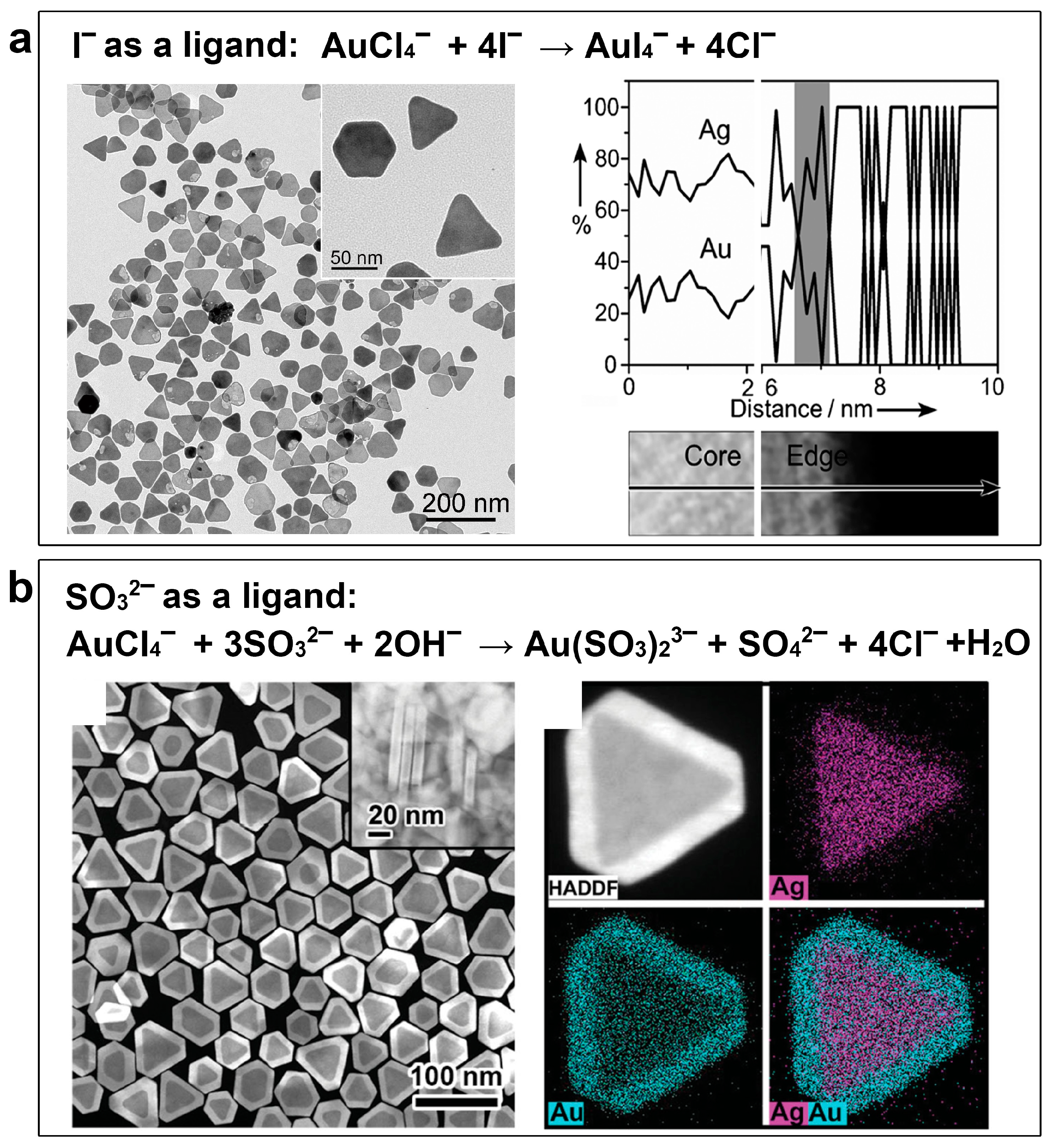 Molecules 28 05720 g002 Molecules 28 05720 g002