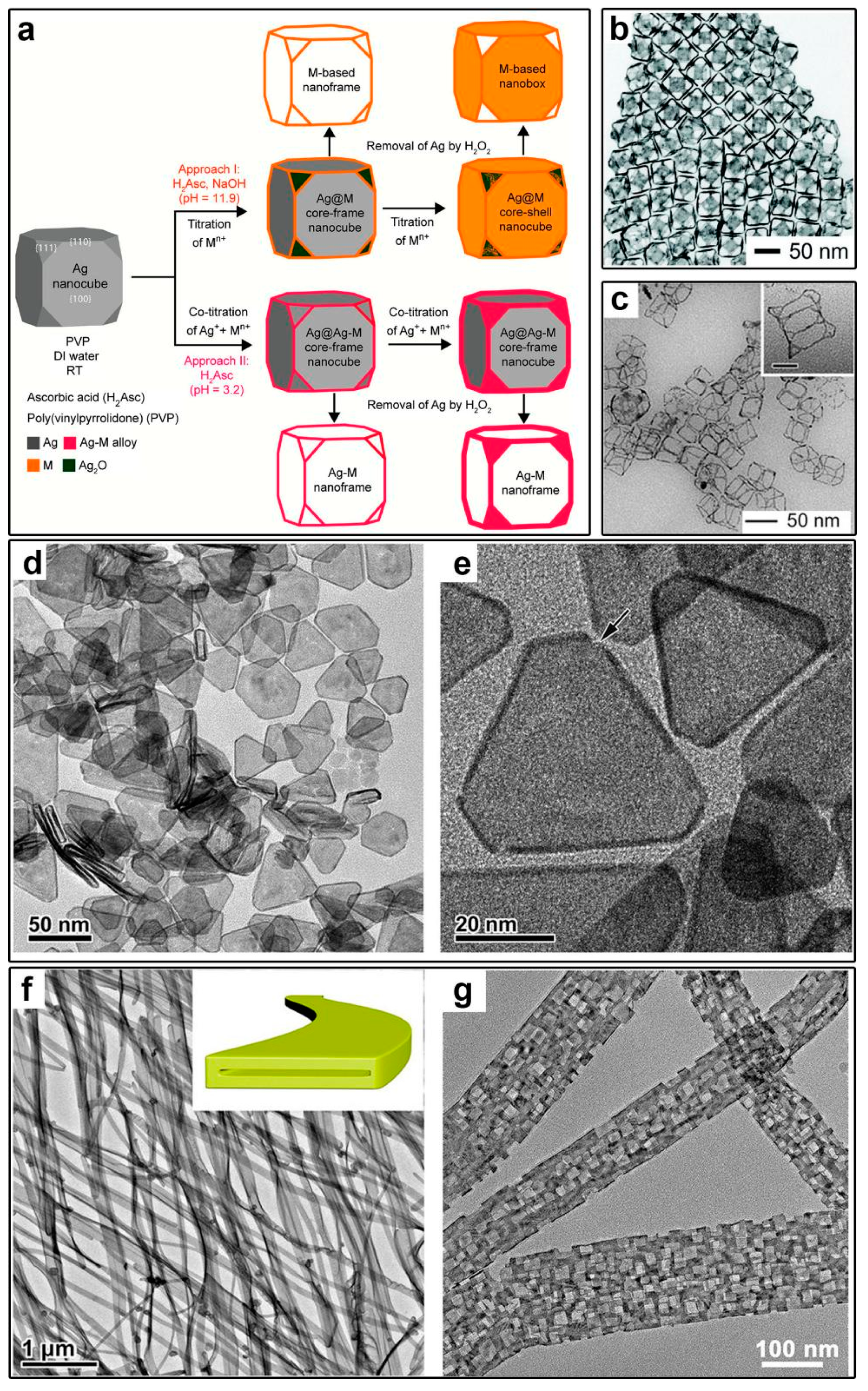 Molecules 28 05720 g012 Molecules 28 05720 g012