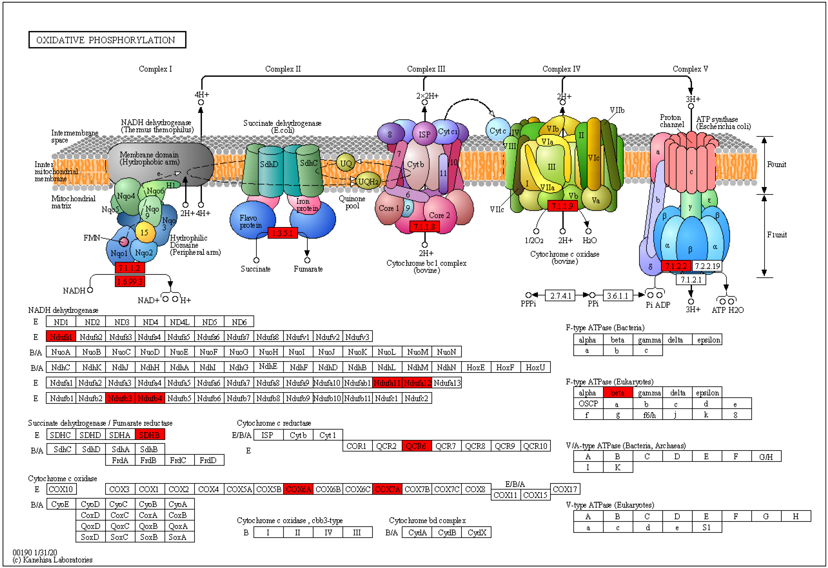 Molecules 28 05727 g007 Molecules 28 05727 g007