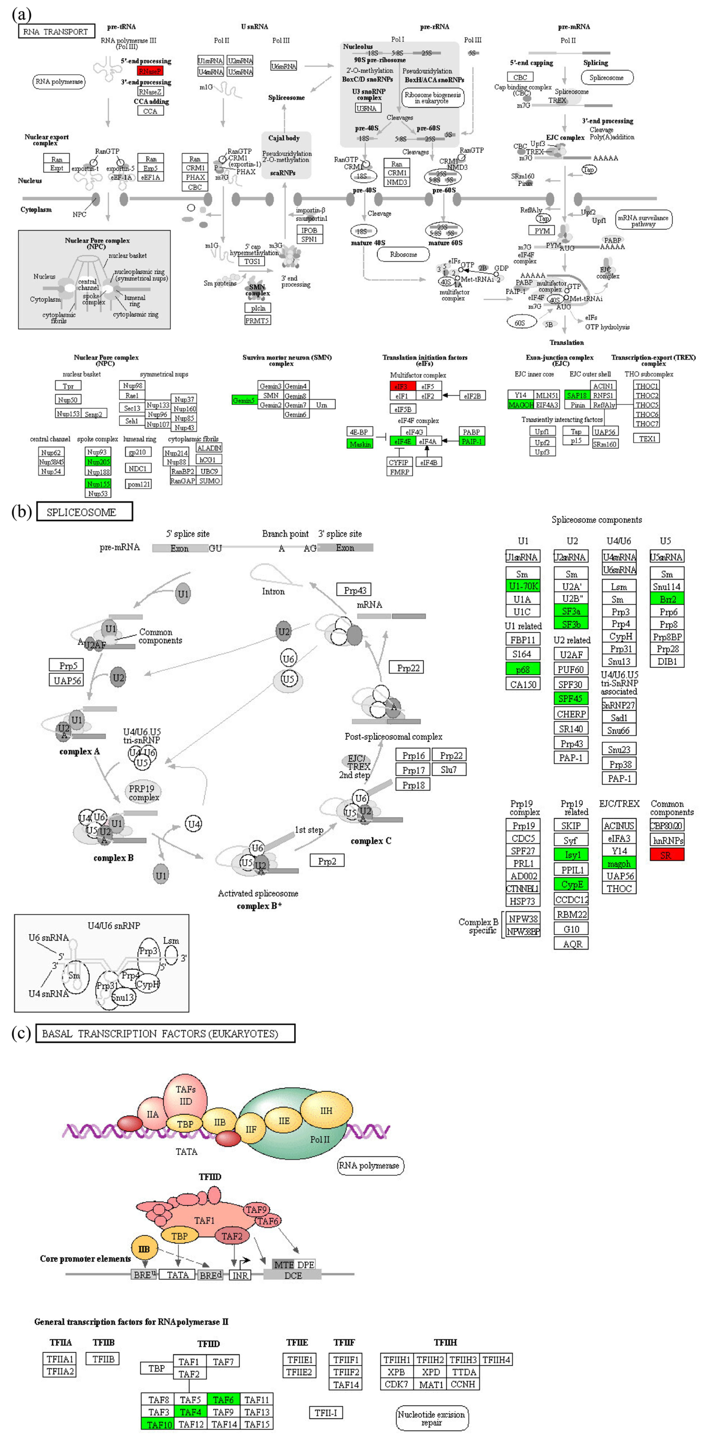 Molecules 28 05727 g008 Molecules 28 05727 g008