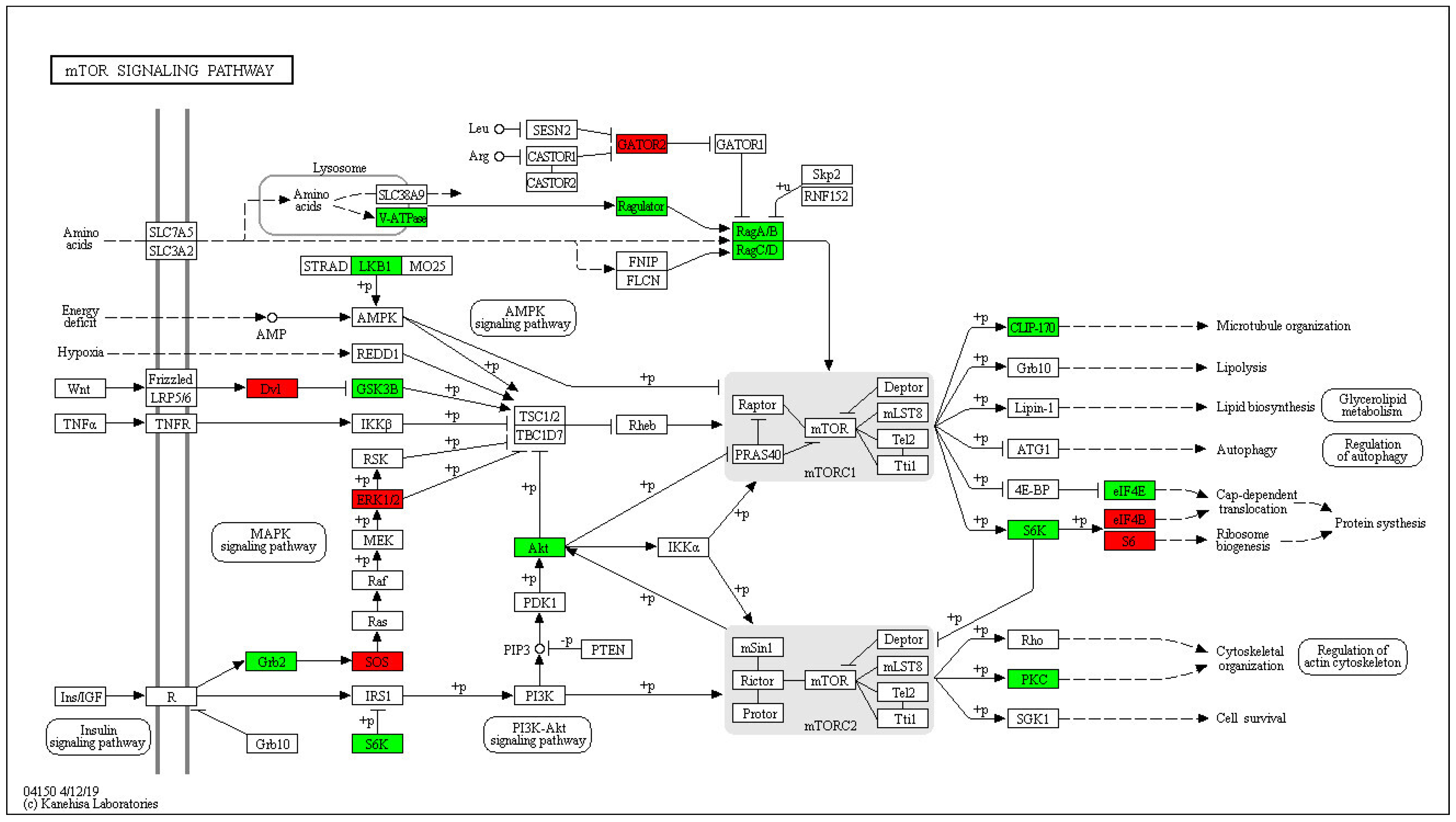 Molecules 28 05727 g012 Molecules 28 05727 g012
