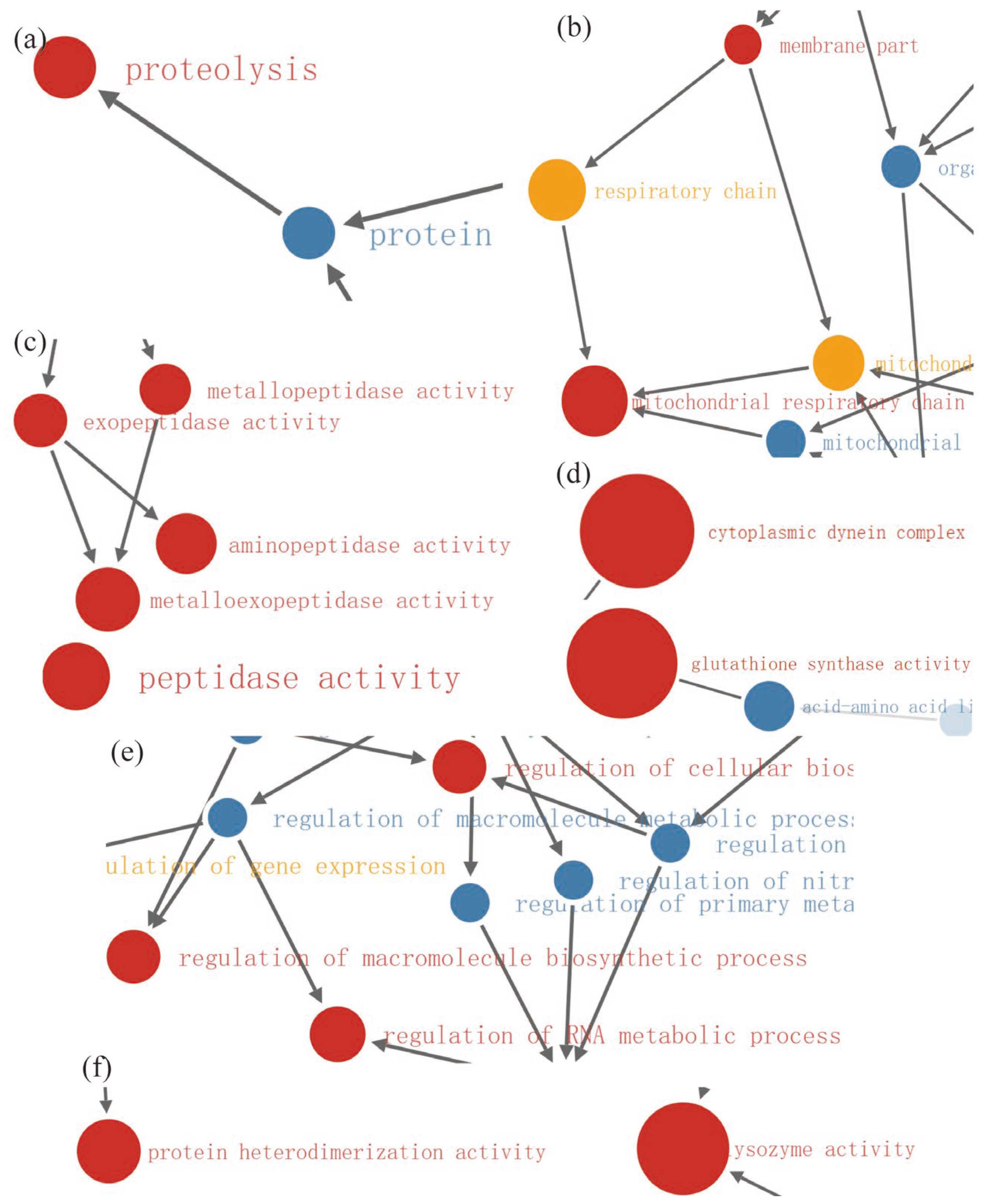 Molecules 28 05727 g013 Molecules 28 05727 g013
