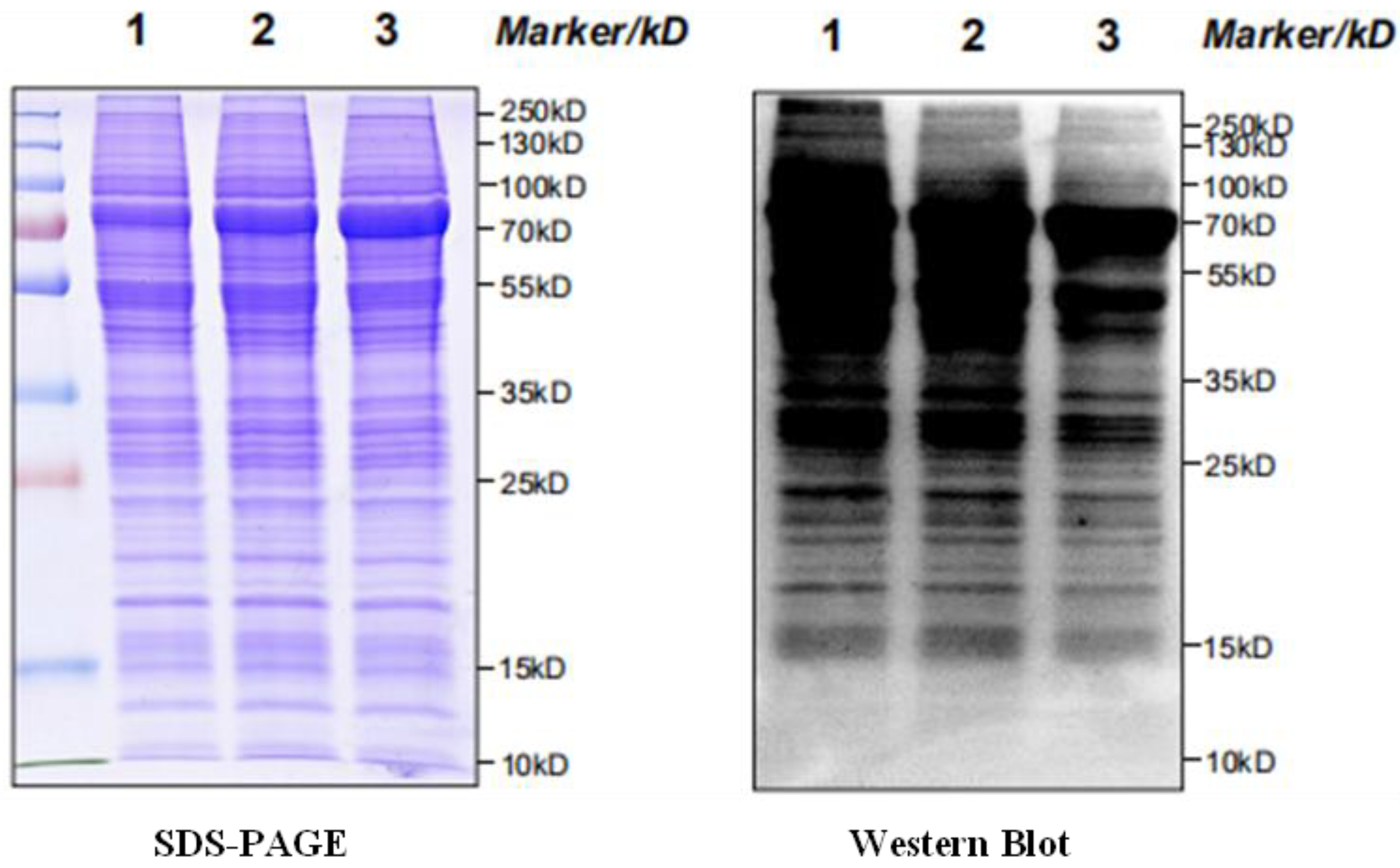 Molecules 28 05727 g016 Molecules 28 05727 g016