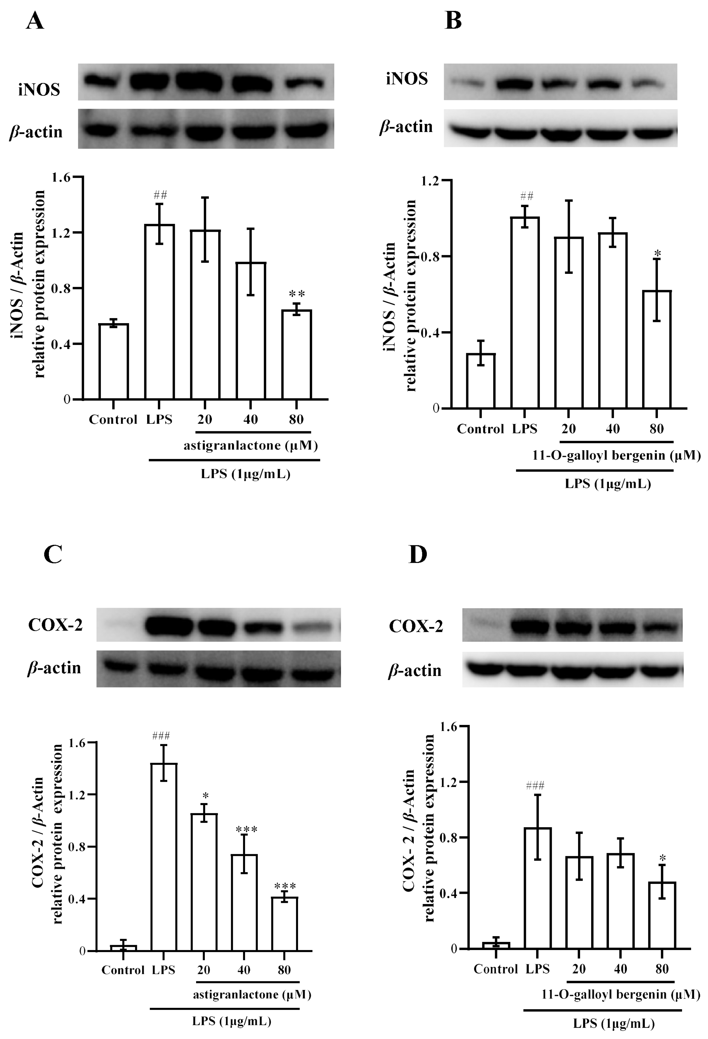 Molecules 28 05731 g004 Molecules 28 05731 g004