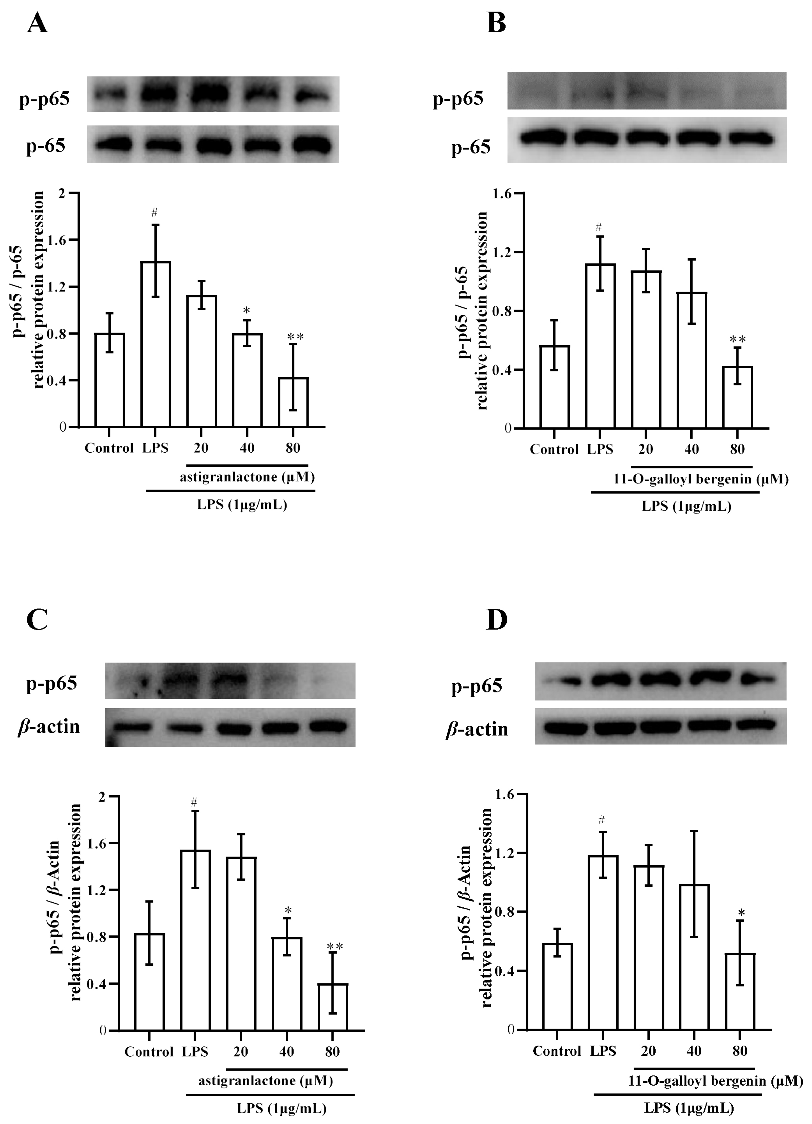 Molecules 28 05731 g005 Molecules 28 05731 g005