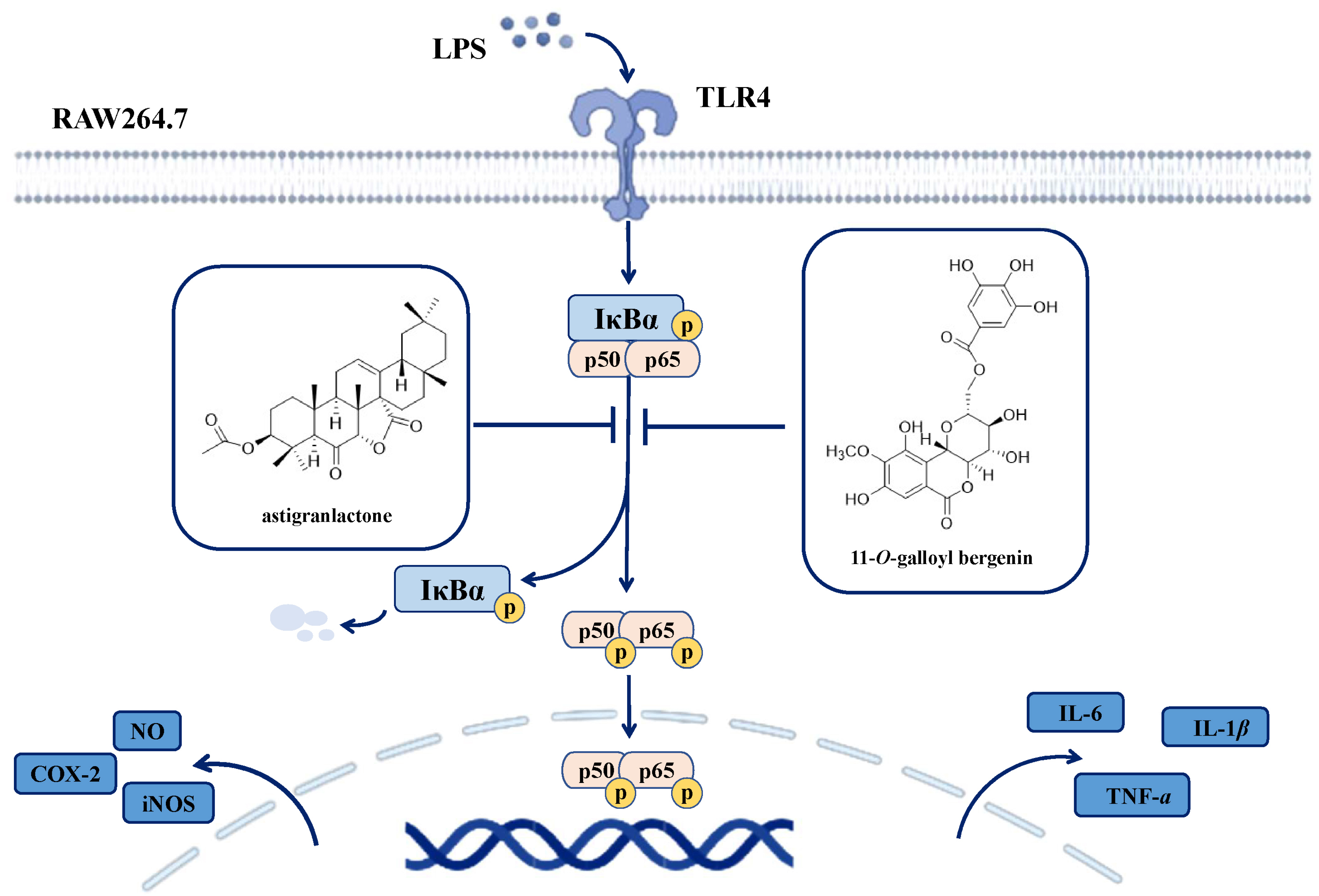 Molecules 28 05731 g007 Molecules 28 05731 g007