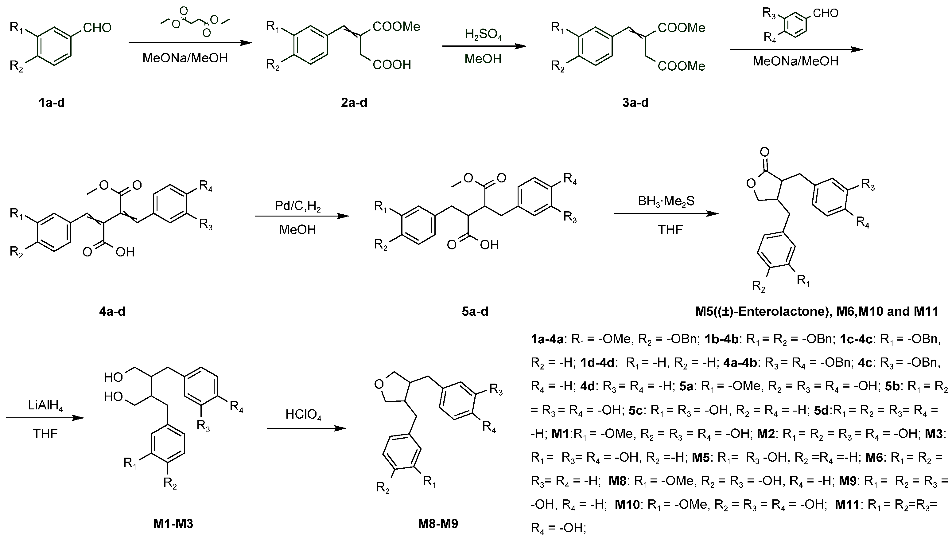 Molecules 28 05742 g008