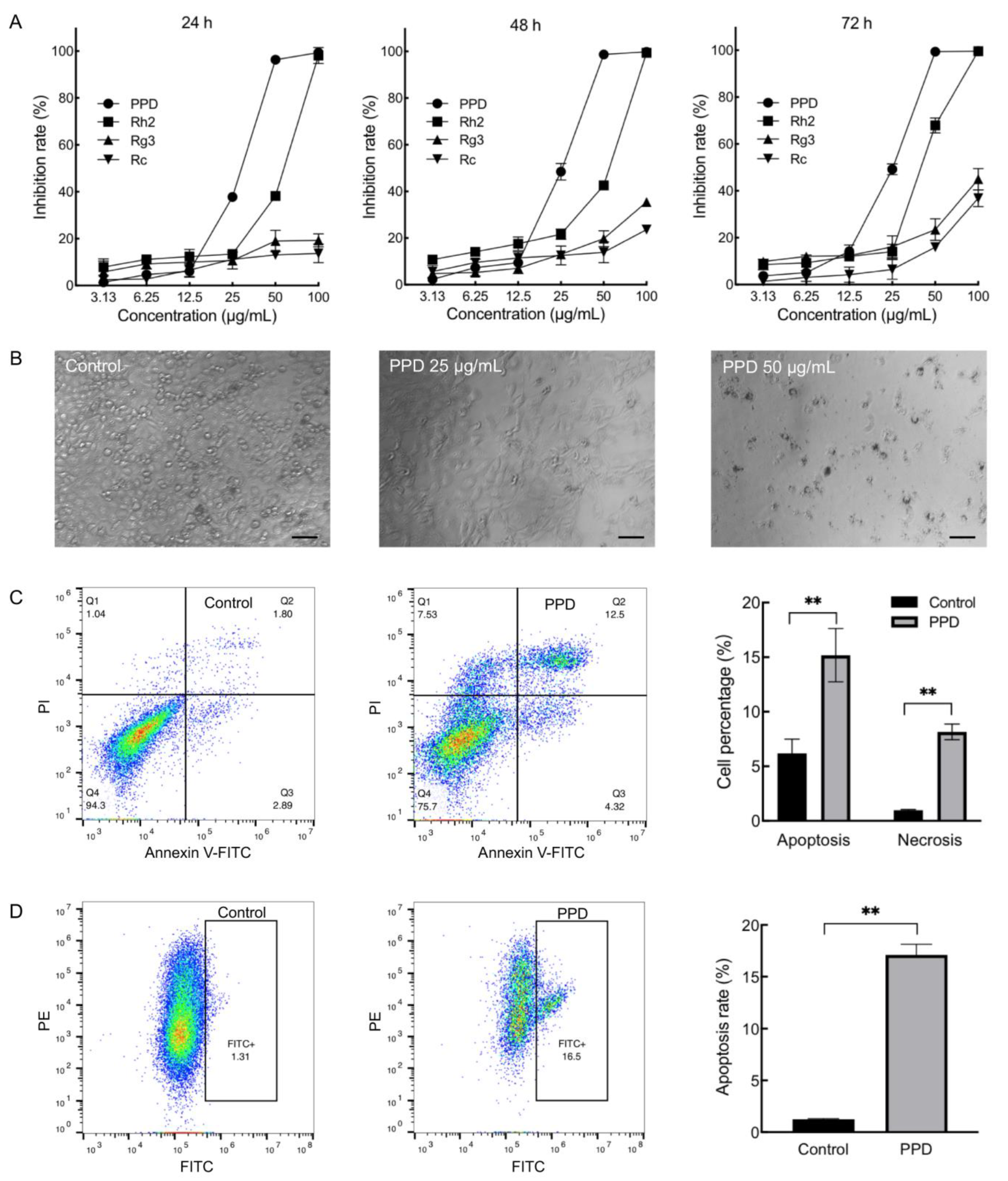 Molecules 28 05746 g001 Molecules 28 05746 g001