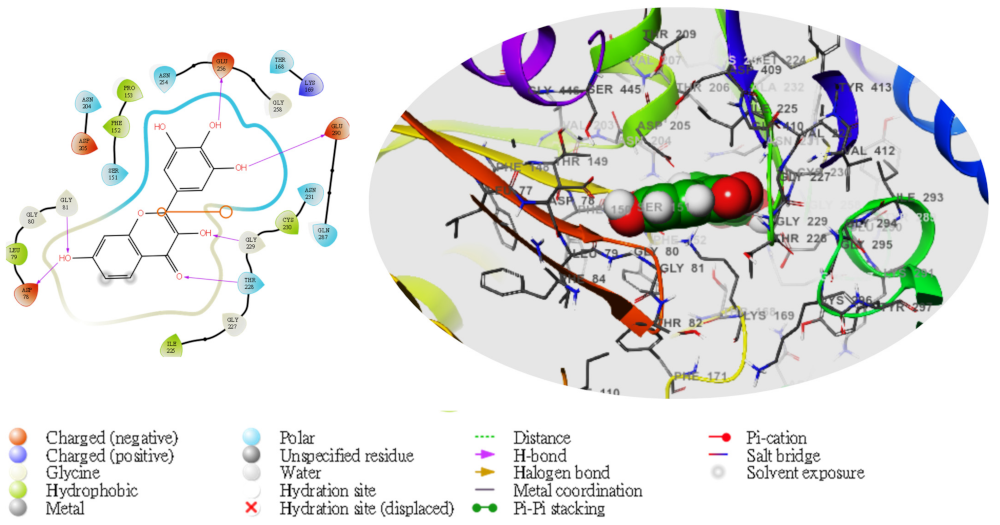 Molecules 28 05752 g004 Molecules 28 05752 g004