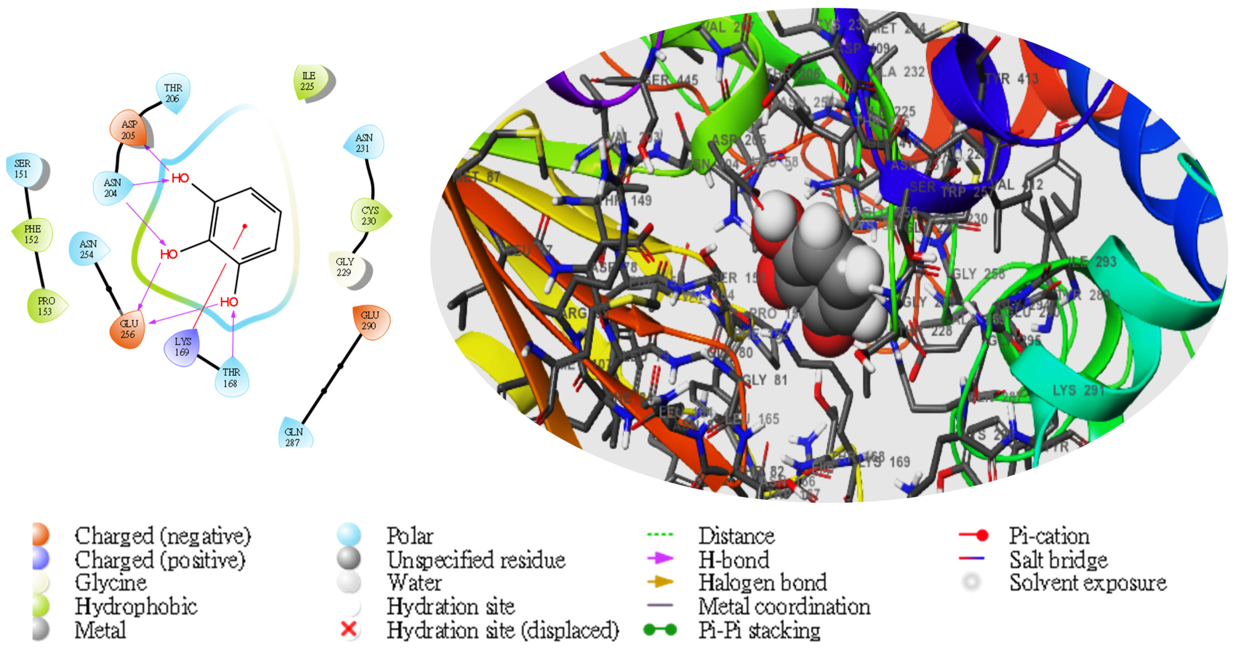 Molecules 28 05752 g005 Molecules 28 05752 g005