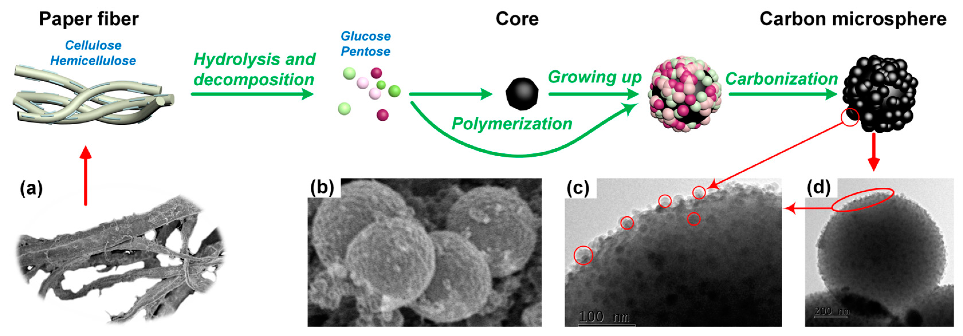 Molecules 28 05756 g008 Molecules 28 05756 g008