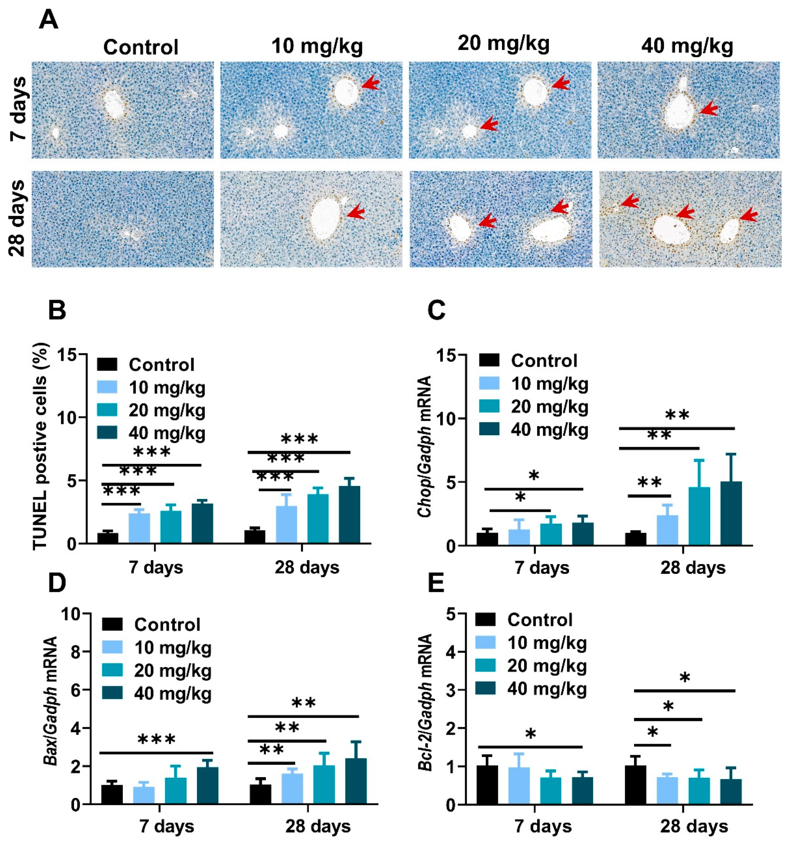 Molecules 28 05757 g007 Molecules 28 05757 g007