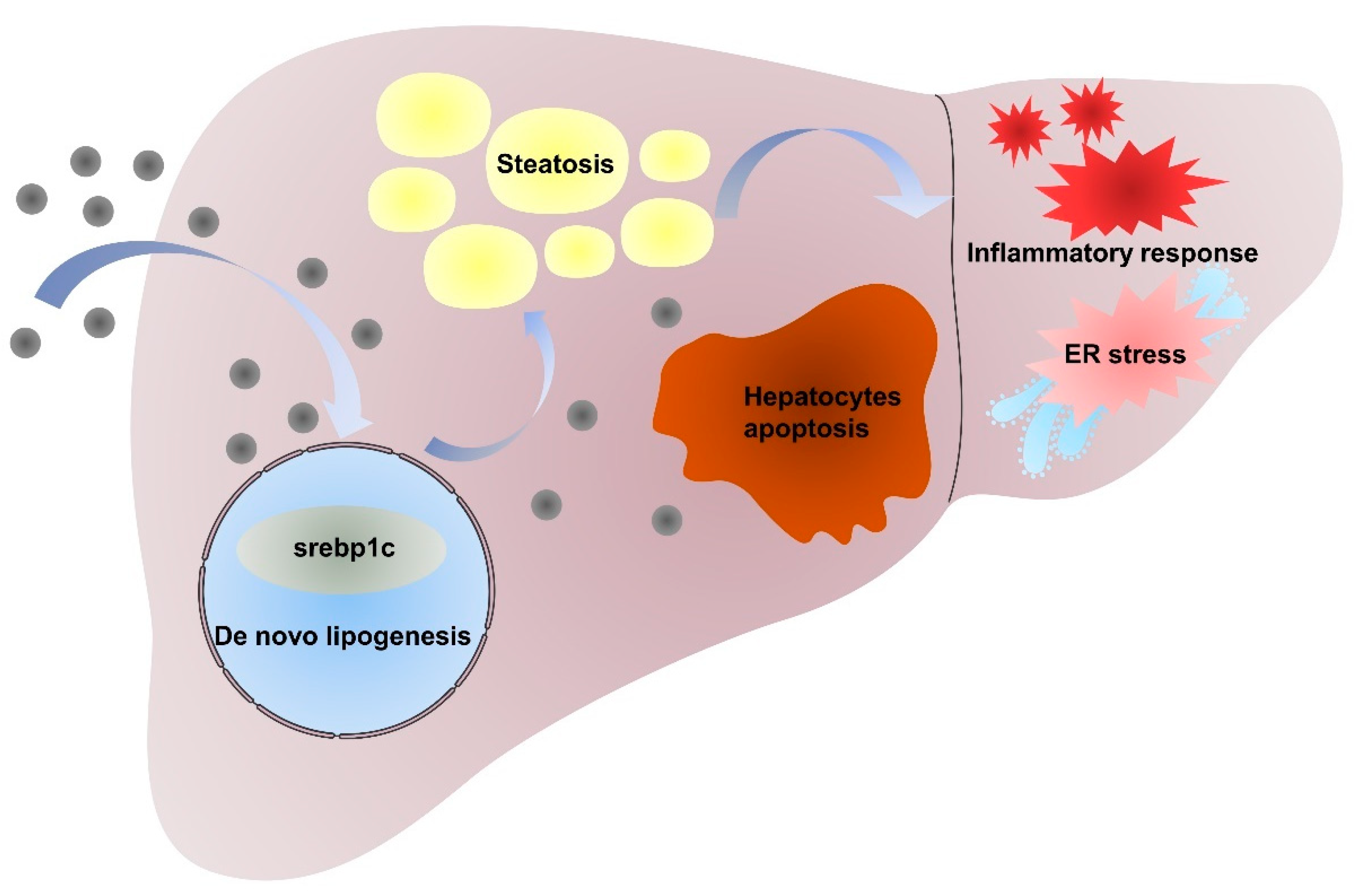 Molecules 28 05757 g008 Molecules 28 05757 g008