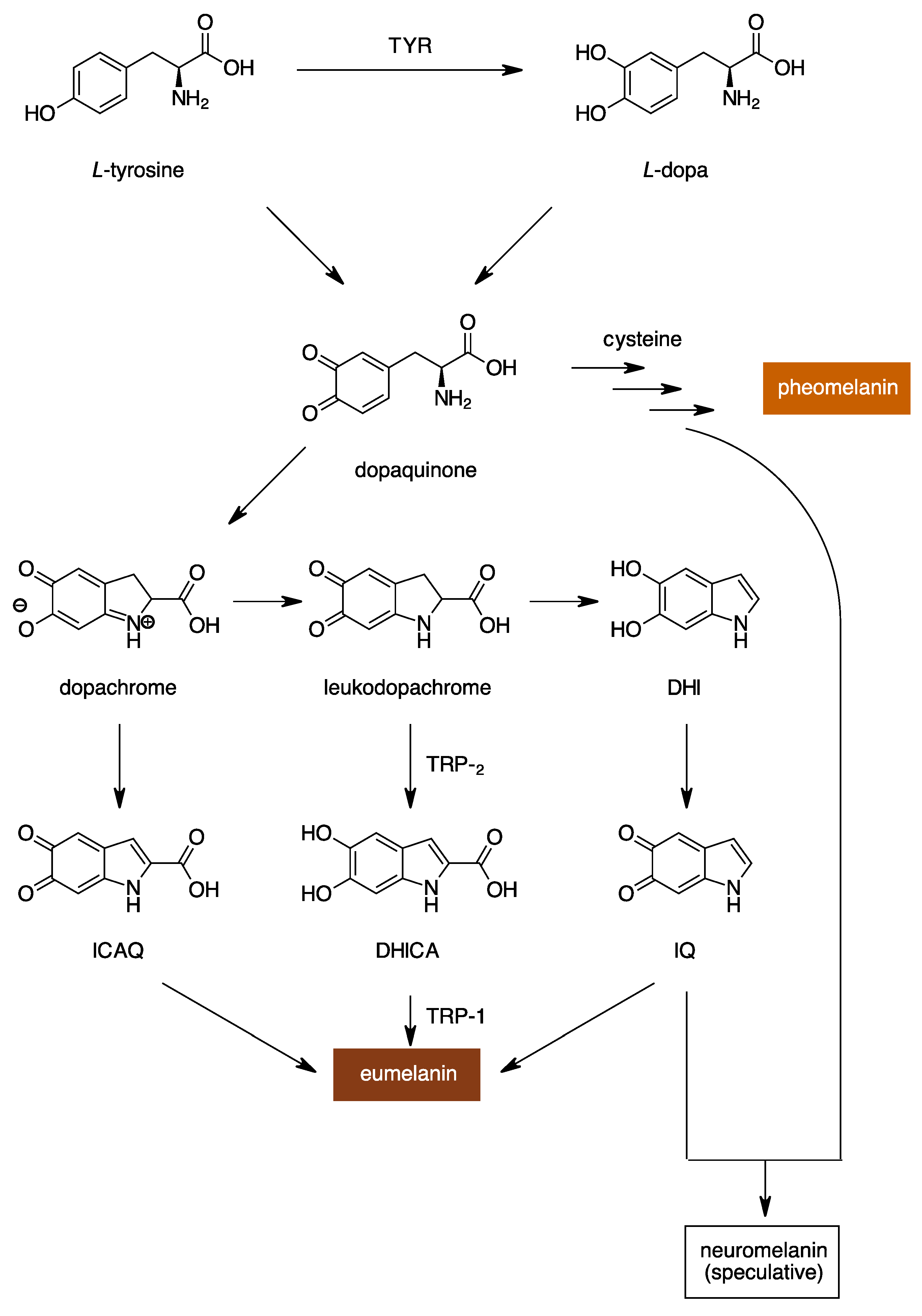 Molecules 28 05762 g001 Molecules 28 05762 g001